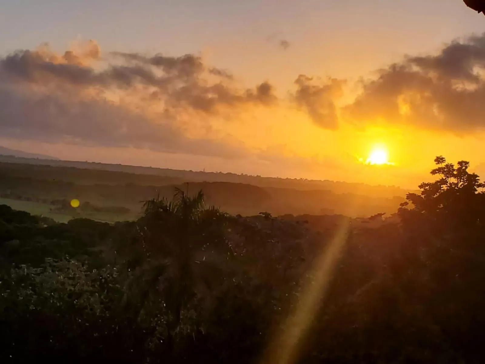 Toilet in Altos de Caño Hondo