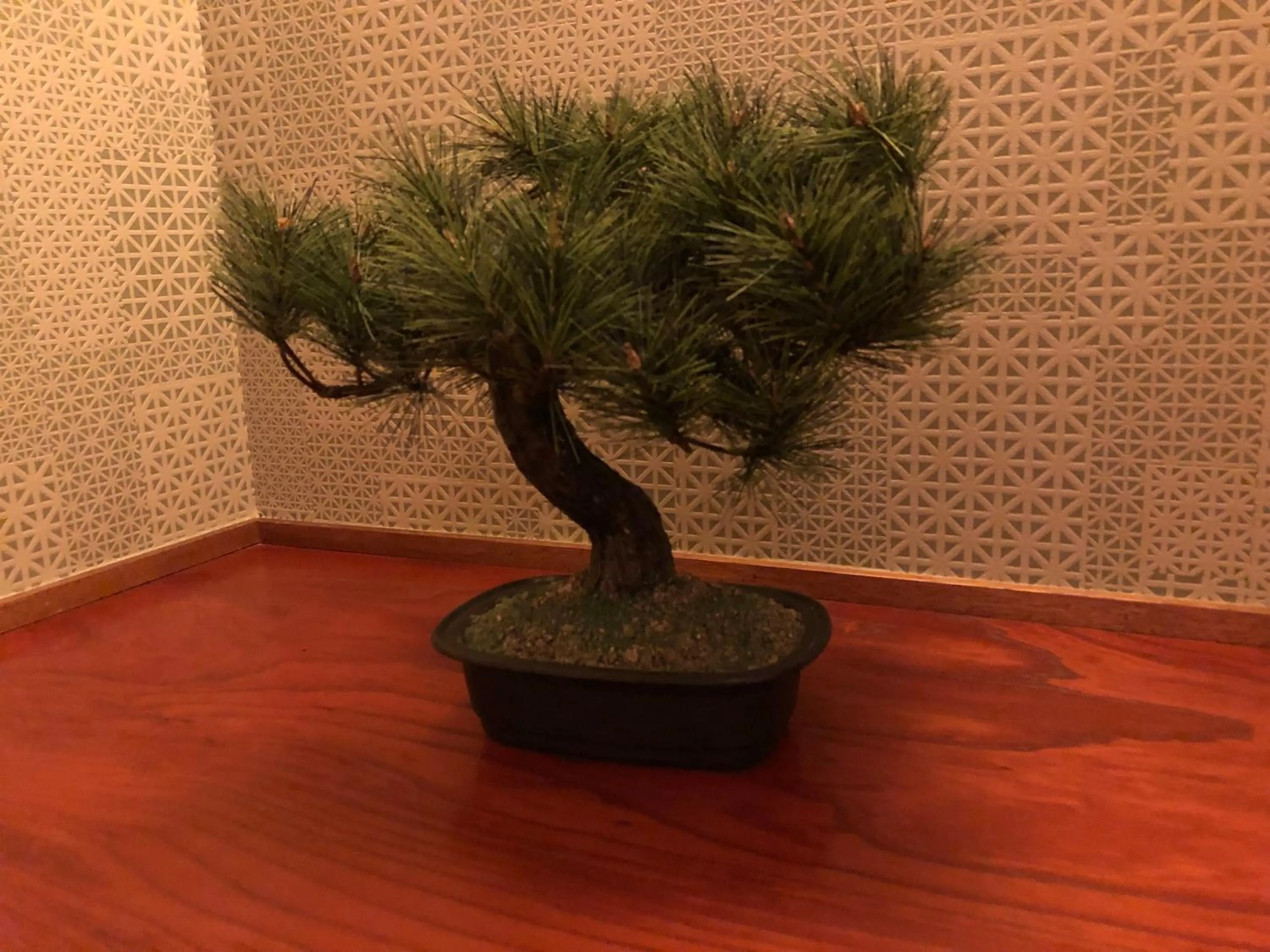 Decorative detail in Santiago Guesthouse Naha