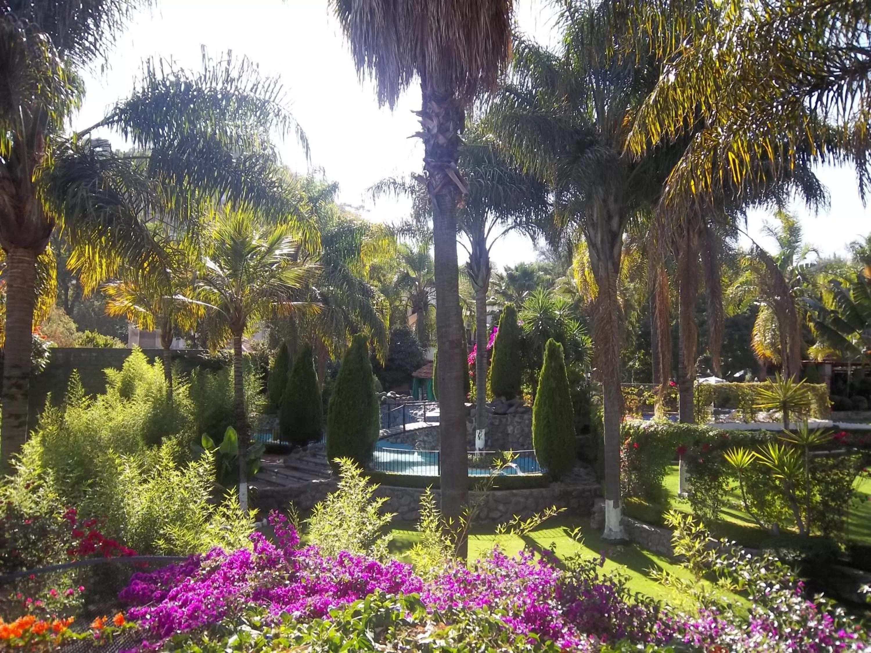 Garden in Posada Los Alcatraces