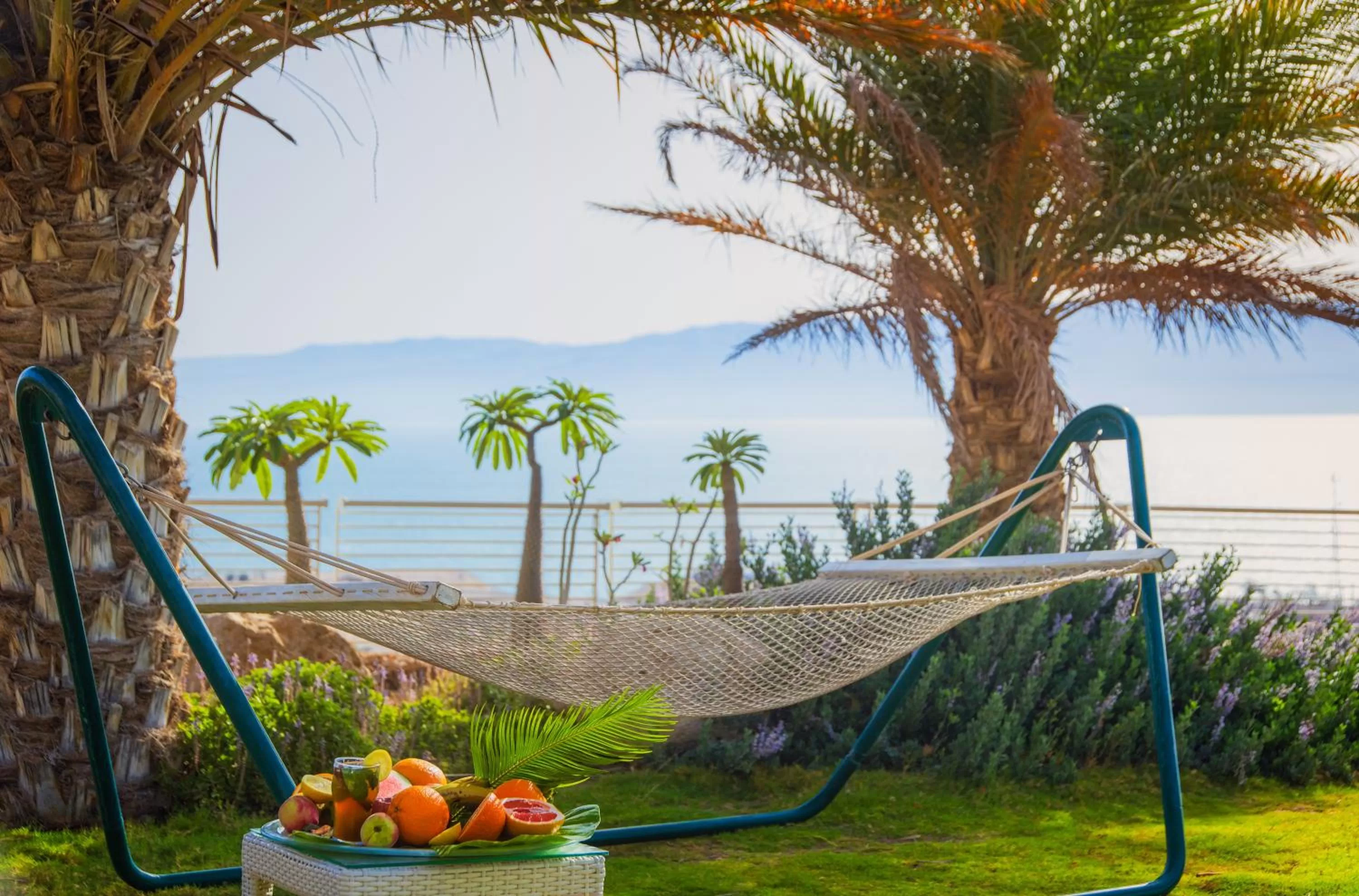 Natural landscape in Ein Gedi Kibbutz Hotel