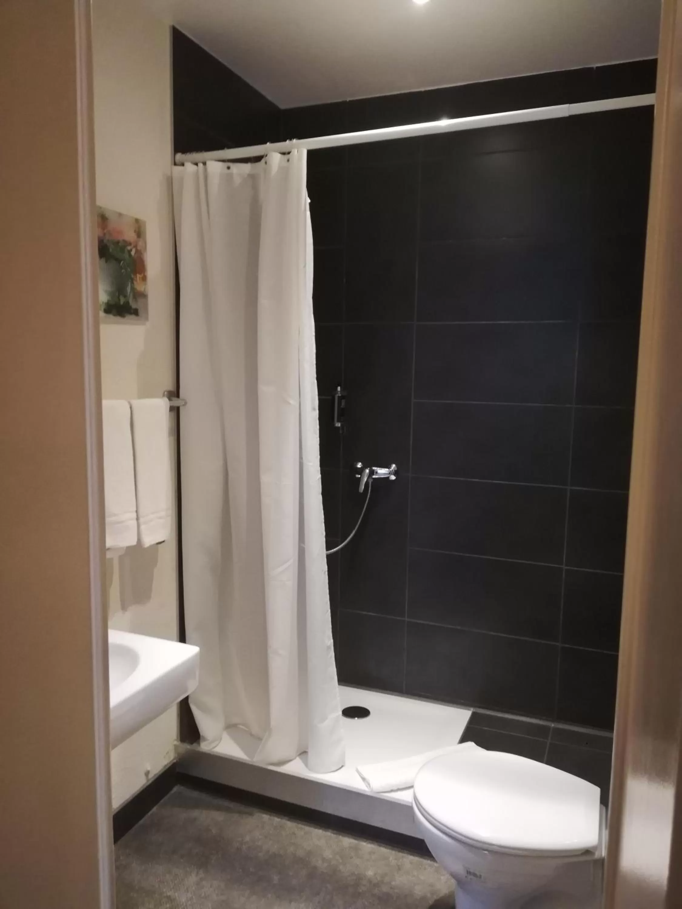 Bathroom in Hotel Parc & Lac