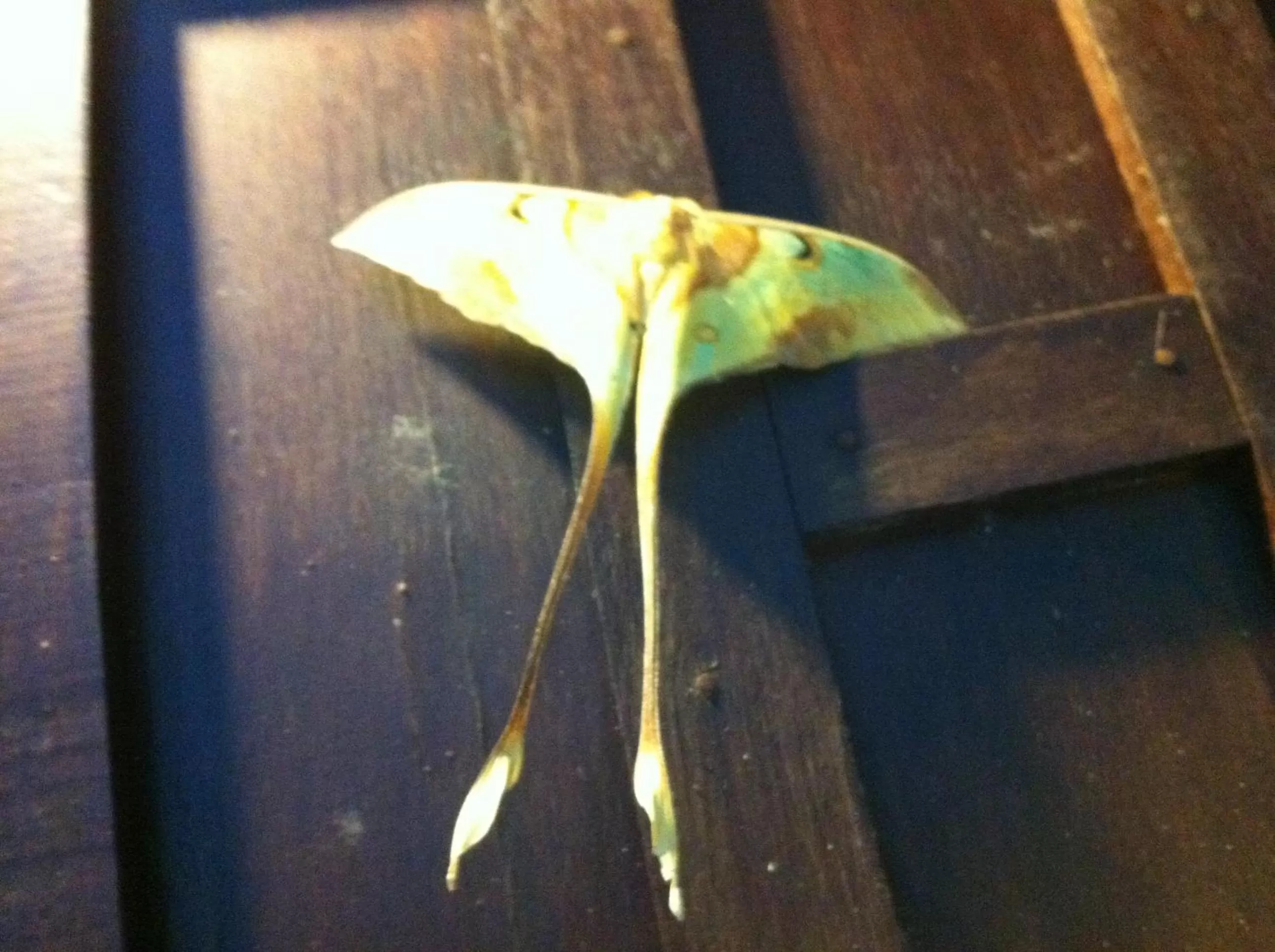 Ao Thong beach Resort