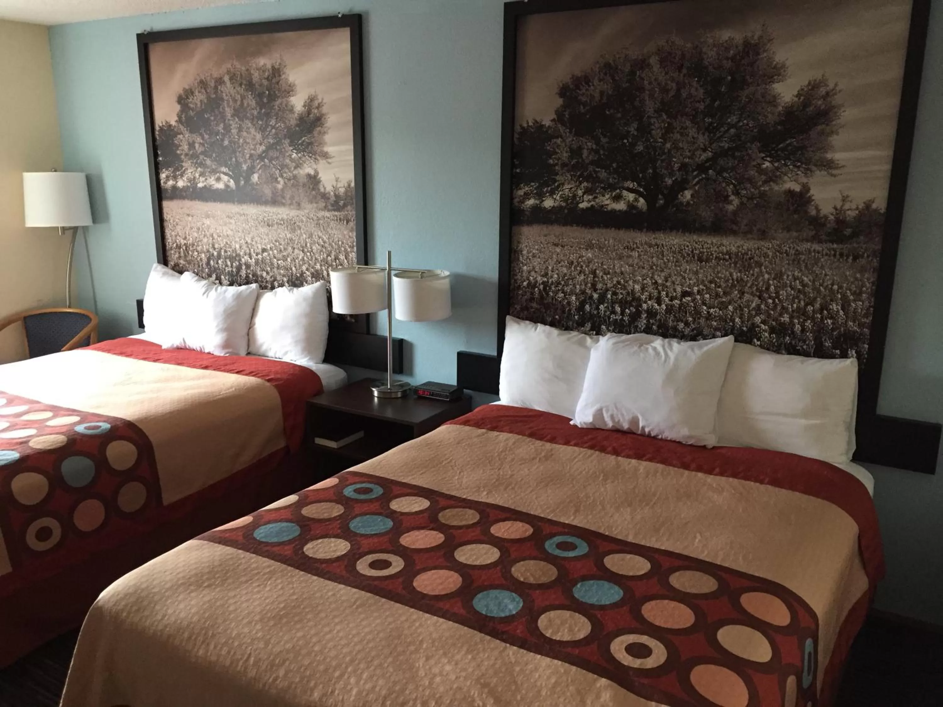 Bed in Super 8 by Wyndham College Station