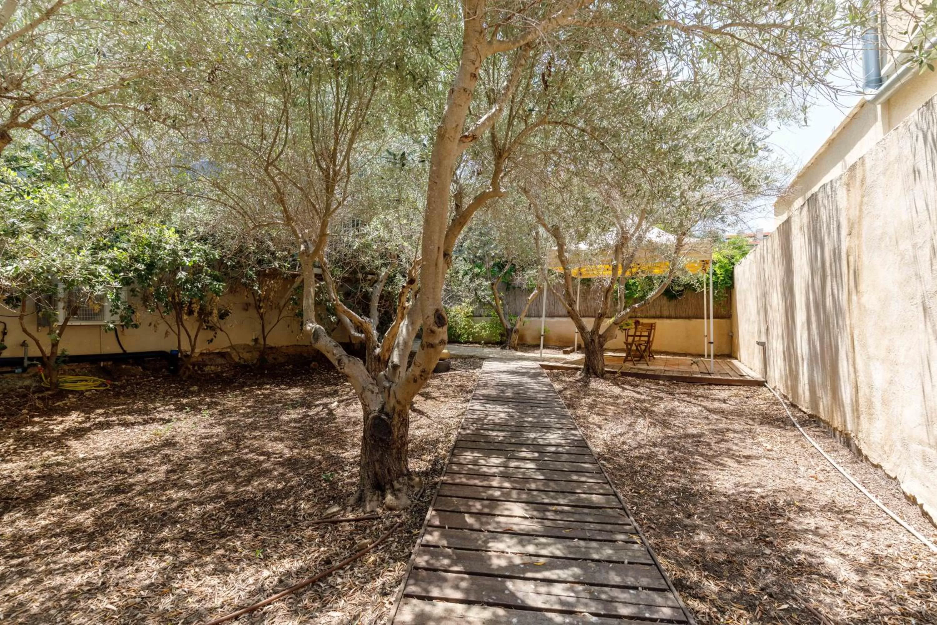 Garden in Smadar Inn