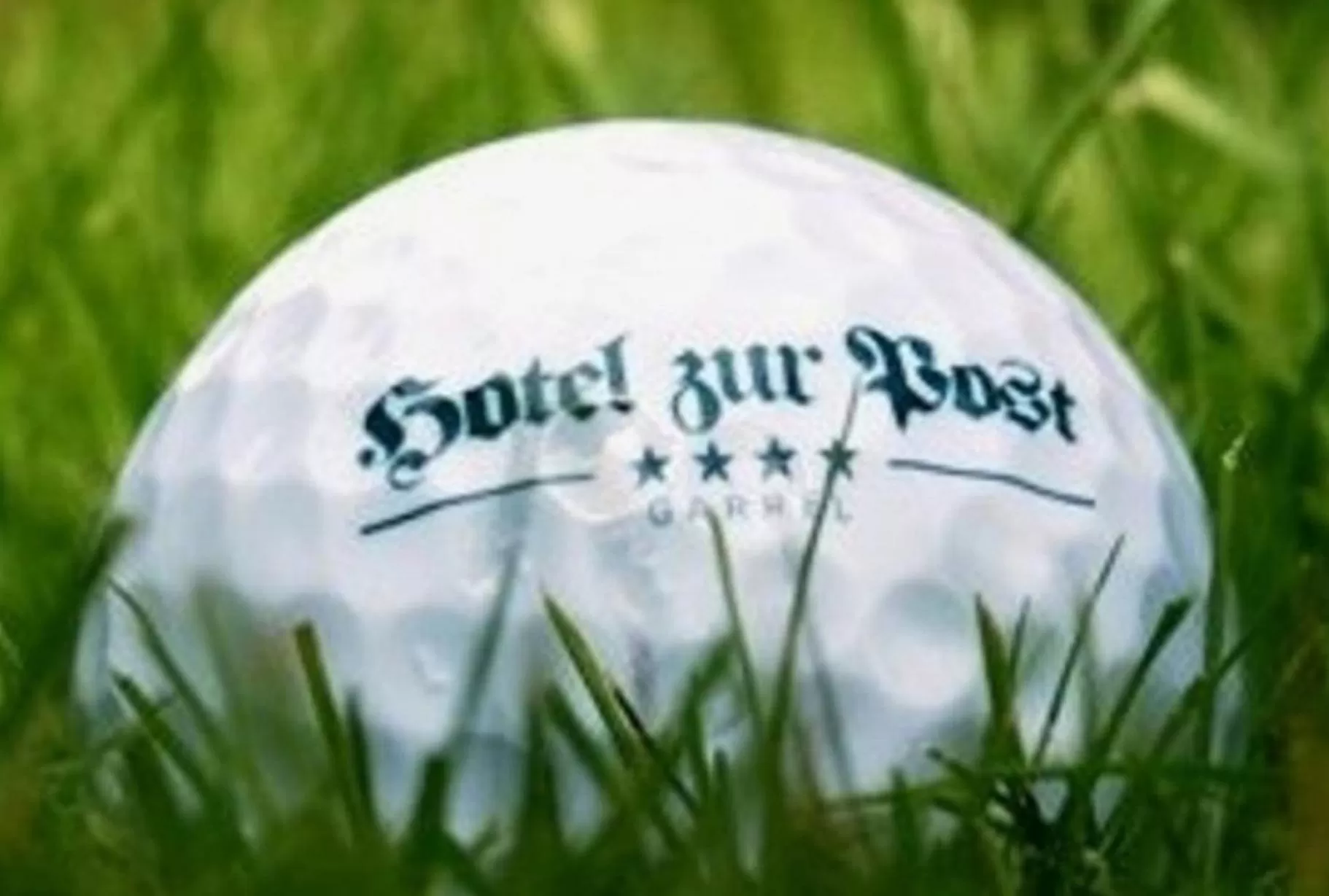 Garden view in Hotel zur Post NEW STYLE