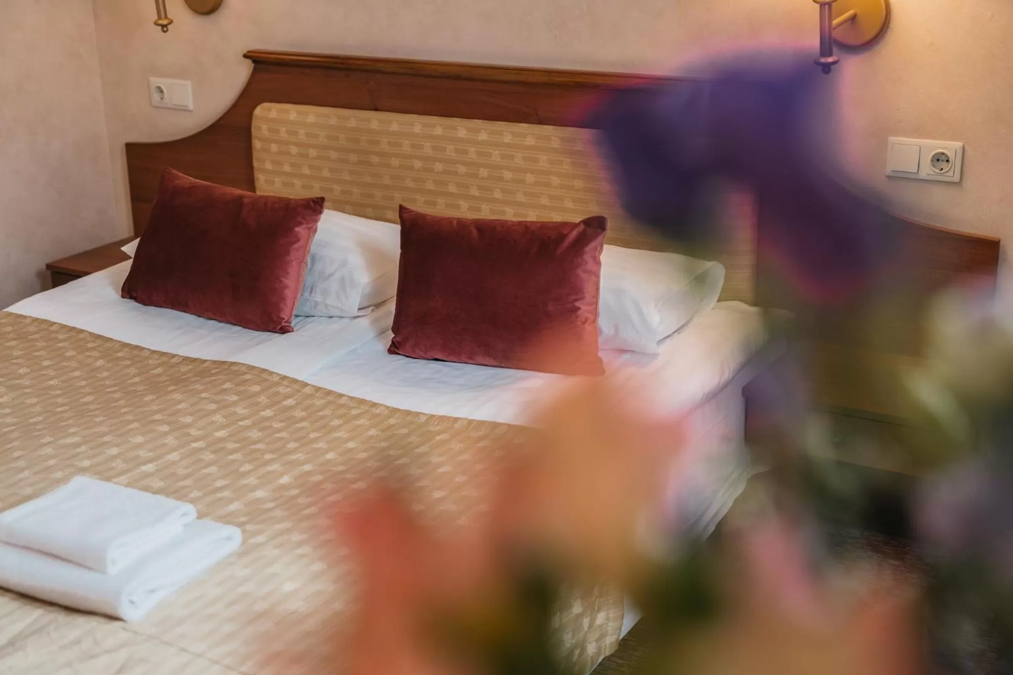 Deluxe Double Room with Bath in Hotel Rinno