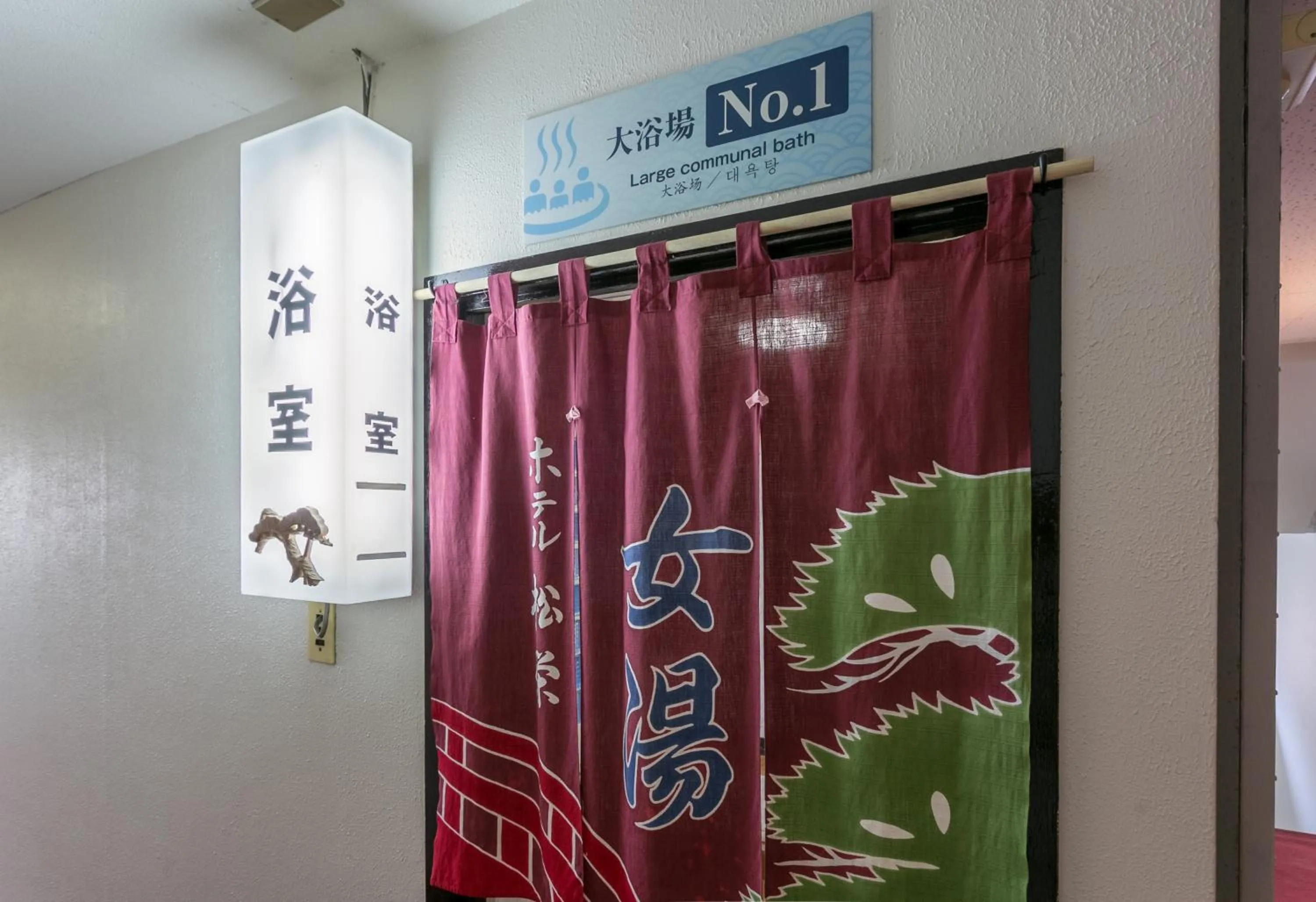 Public Bath in Shoei Daini Bekkan