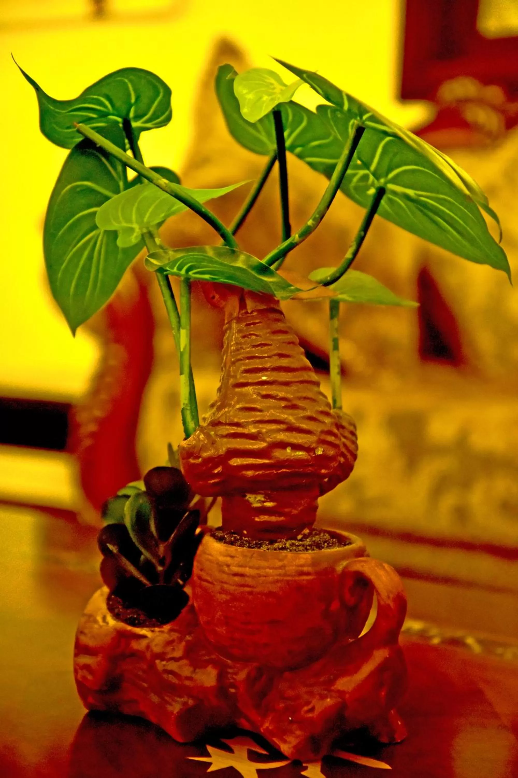 Property building in Hotel Blue Sapphire