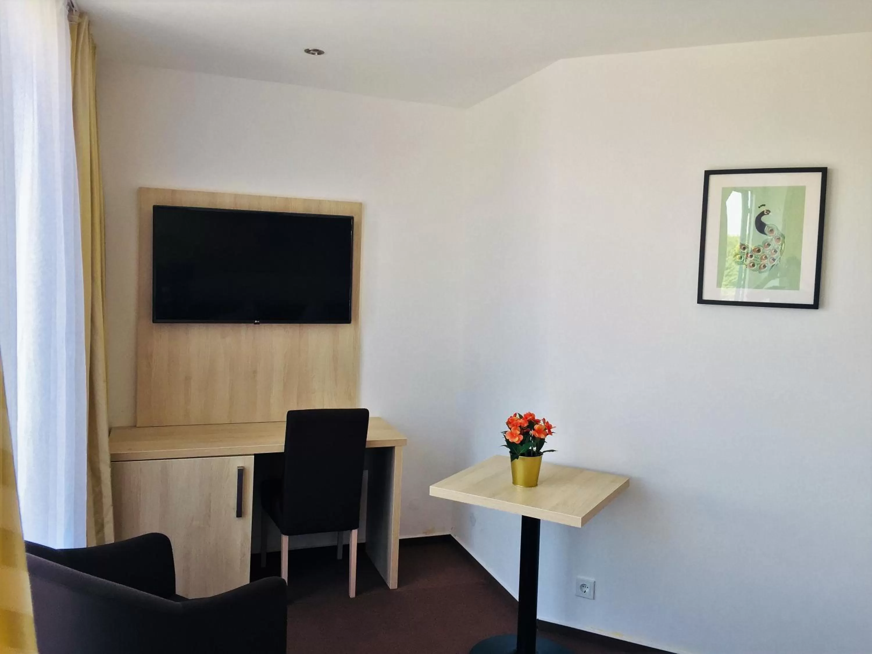 TV and multimedia in Hotel Denbu