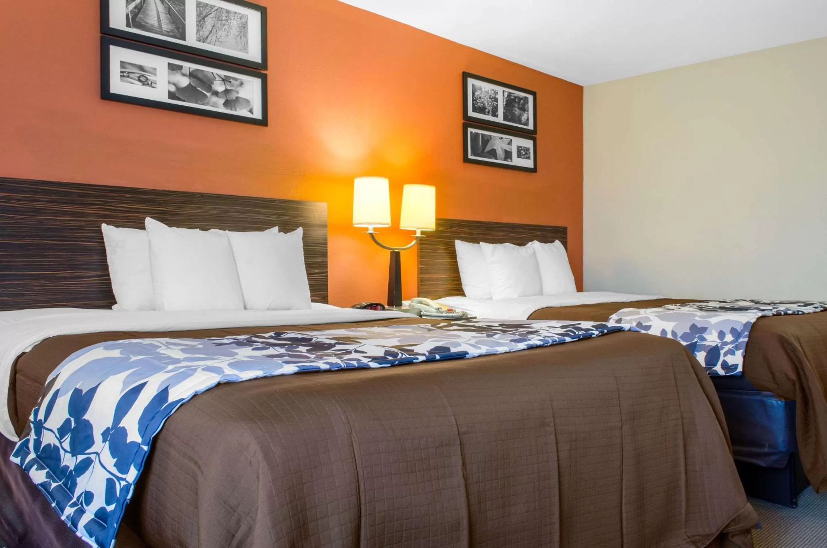 Photo of the whole room, Bed in Sleep Inn & Suites East Chase