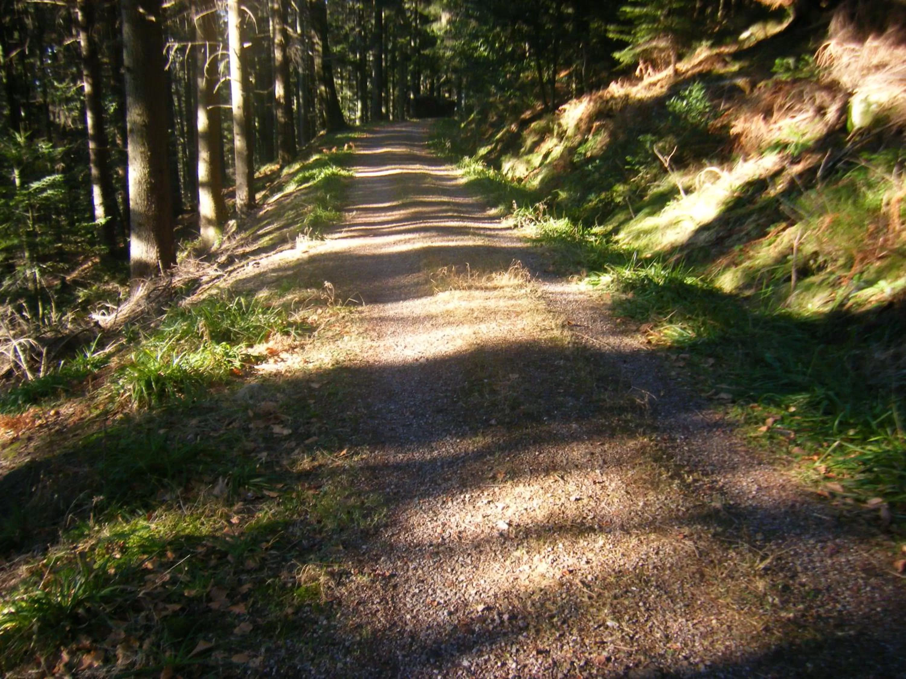 Hiking in Hotel Schauinsland