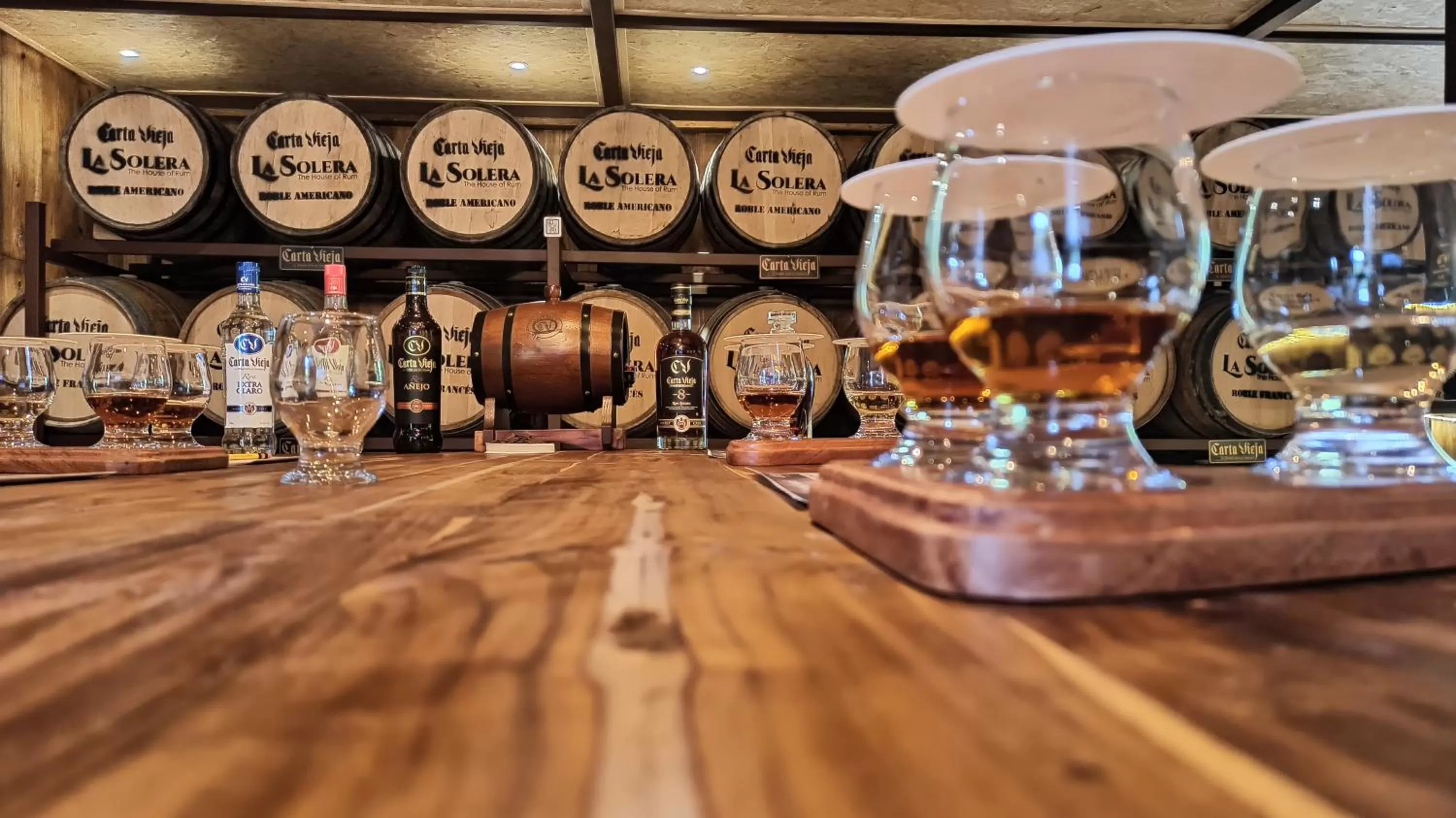 Lounge or bar in TREE TREK BOQUETE Adventure Park