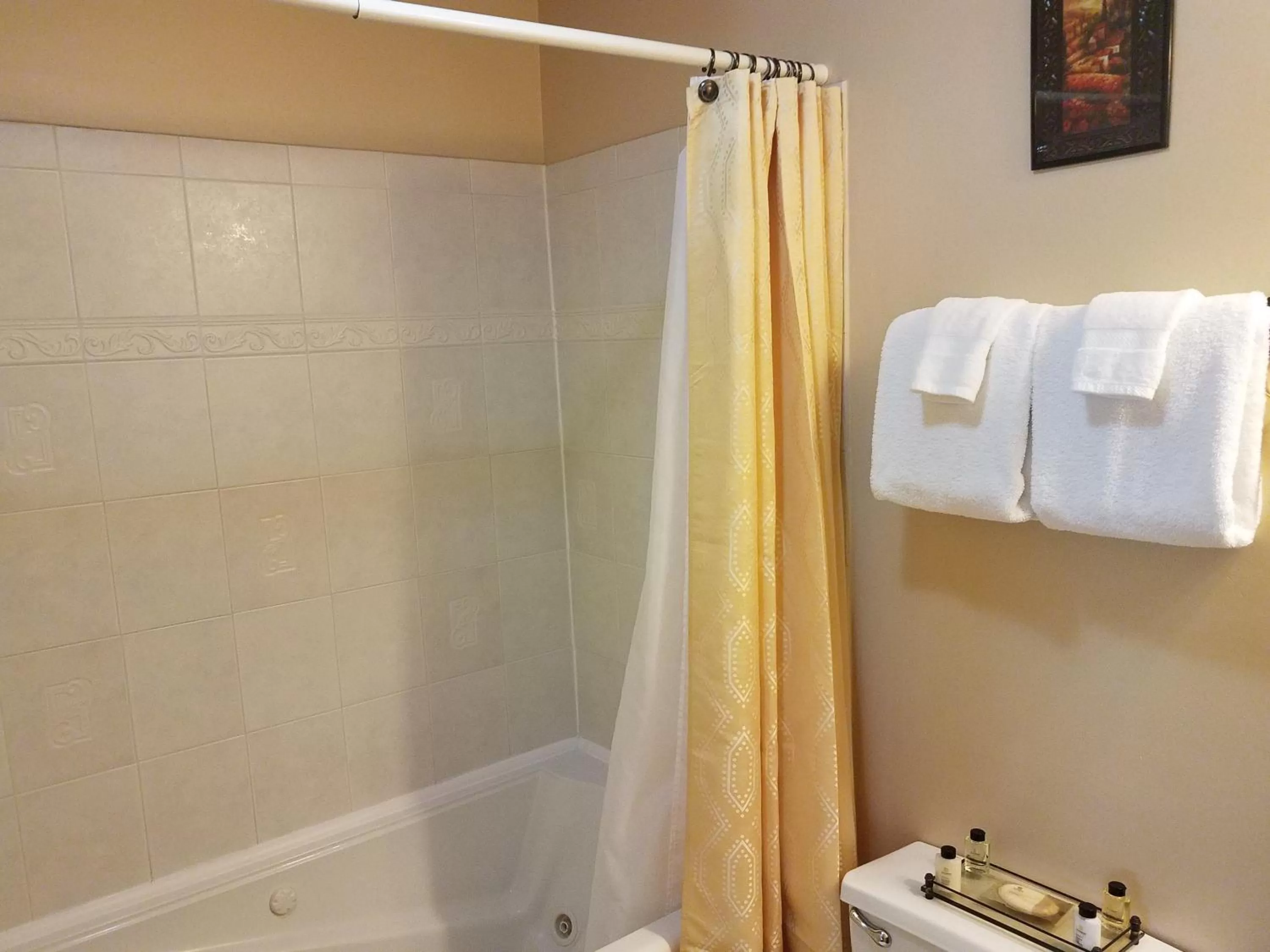 Bathroom in Old Brick Inn