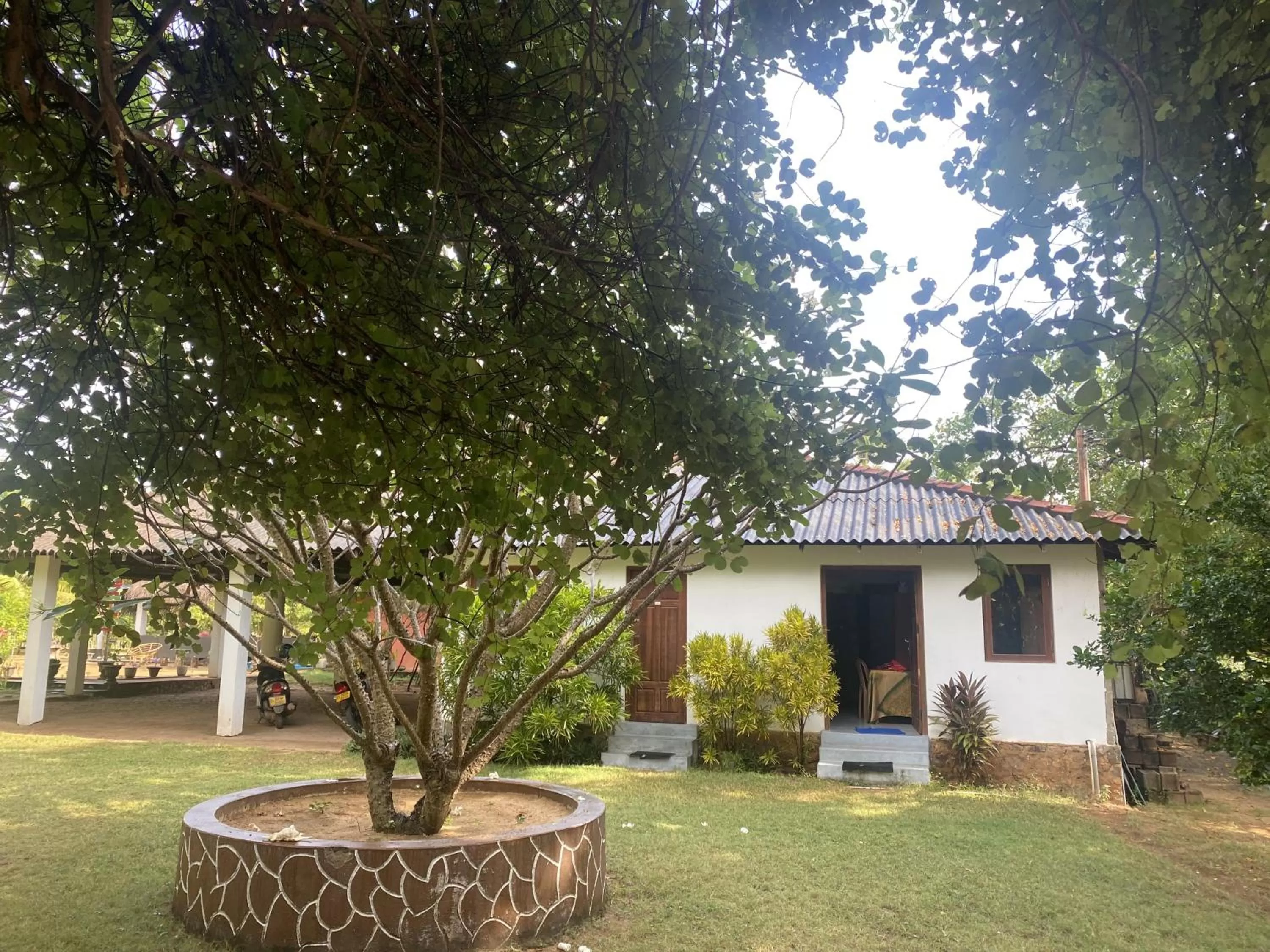 Garden in 108 Palms Beach Resort