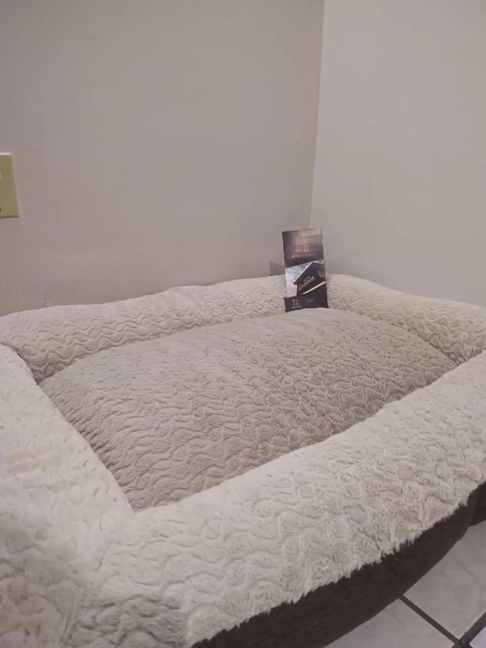 Pets, Bed in Hotel Florencia Poza Rica