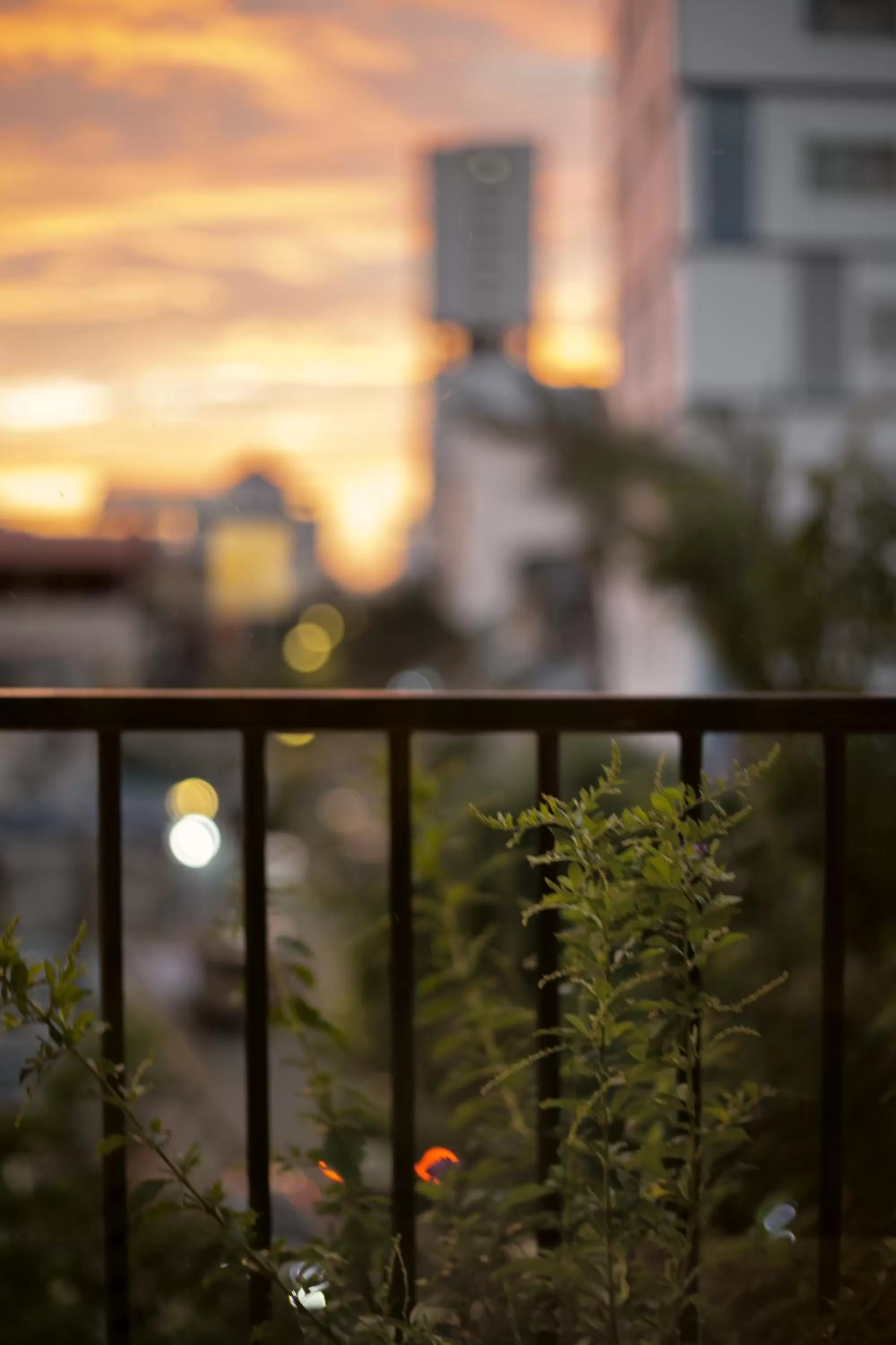 City view in La Chronique Hotel