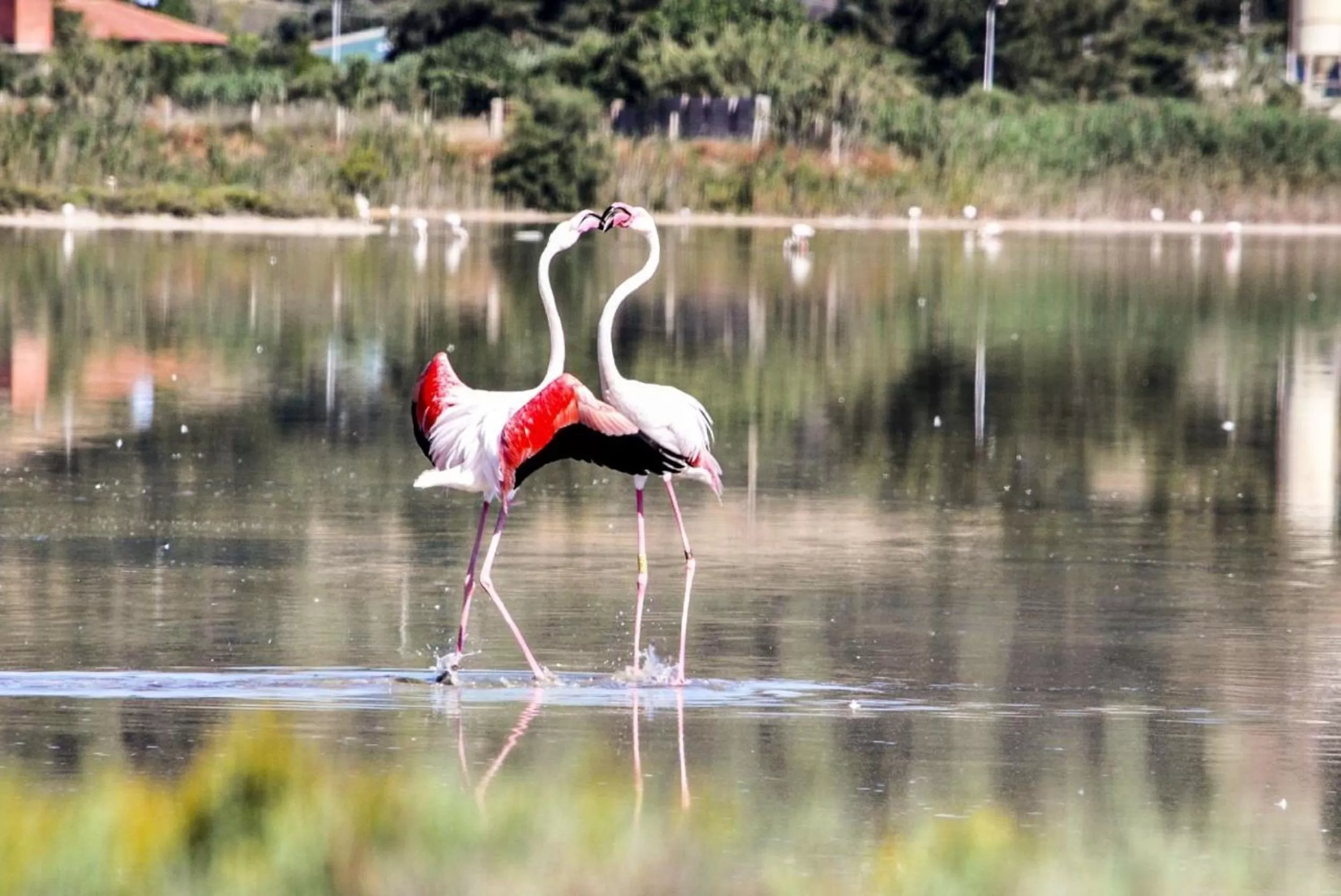 Other in Gentarrubia