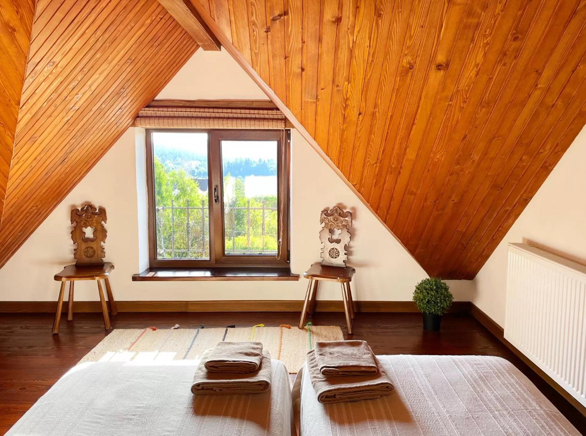 Summer in Villa Zoryany Dvir