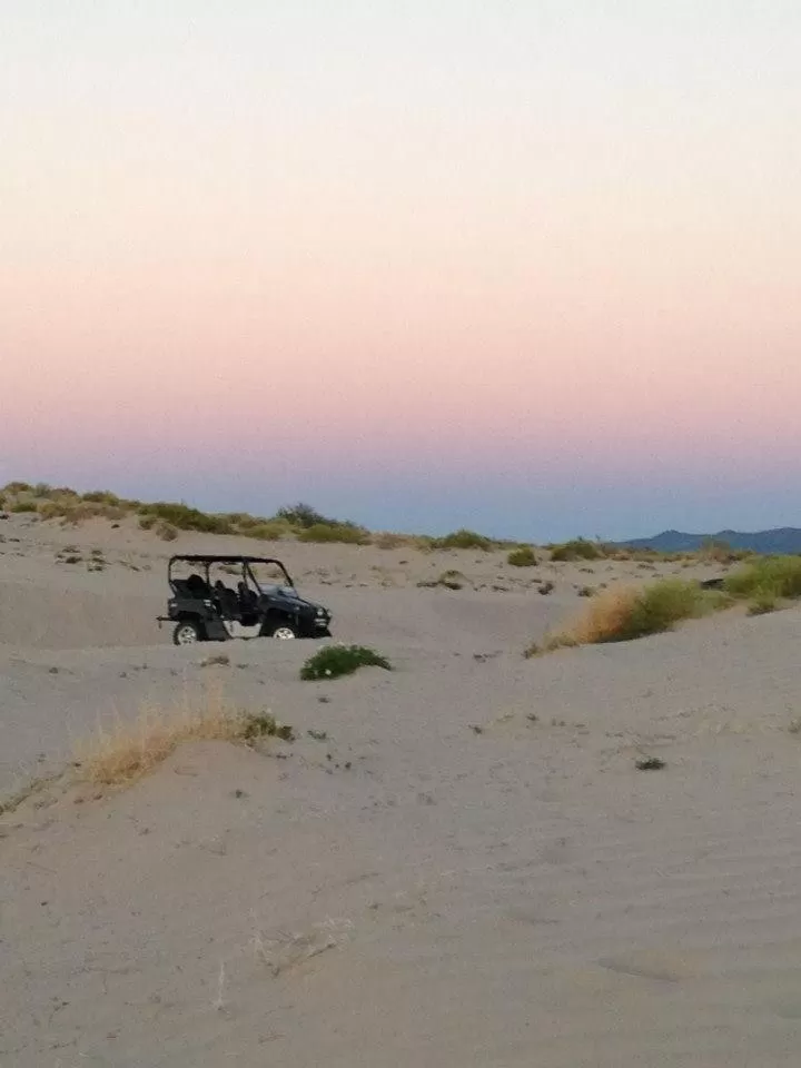 Activities in Shady Motel