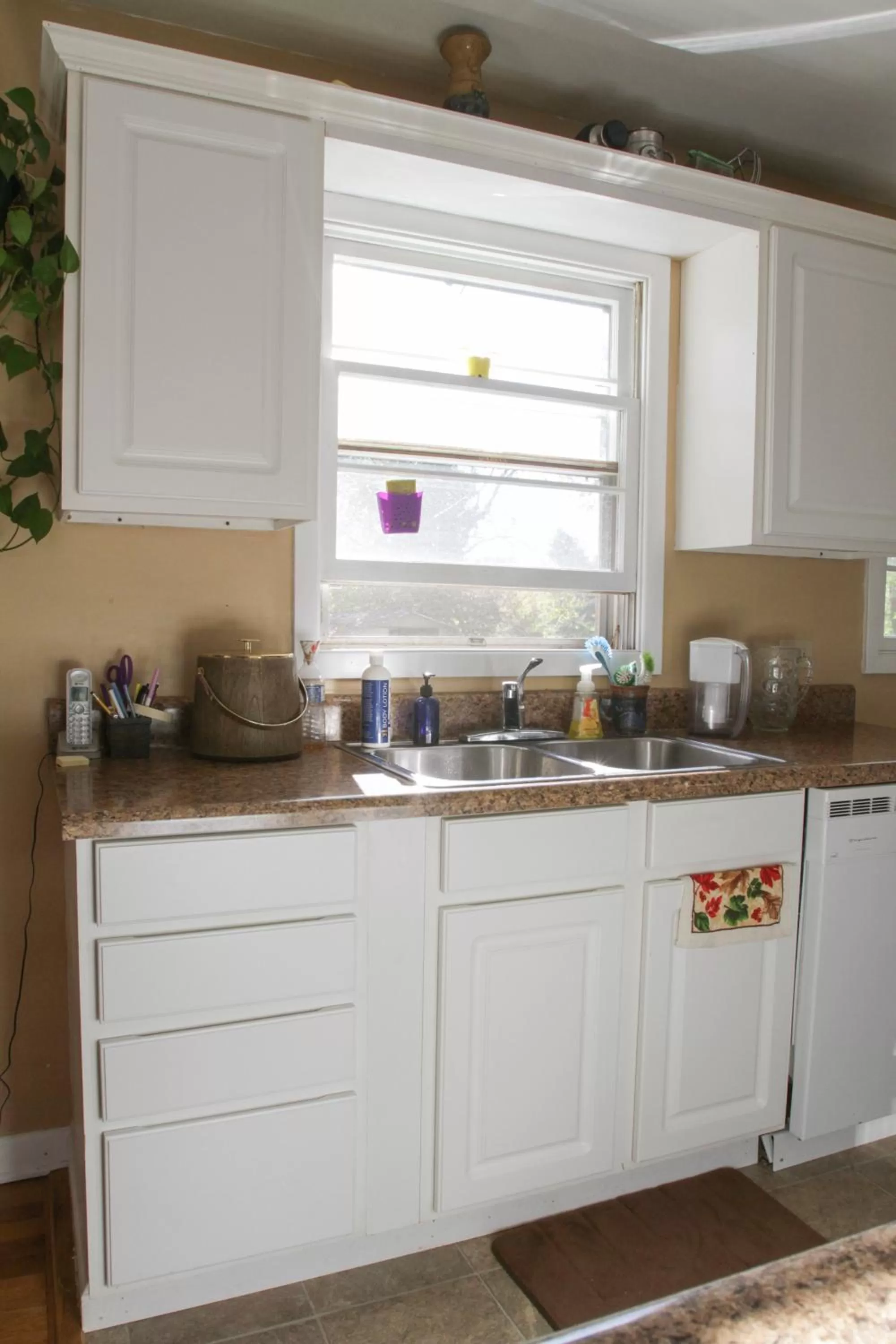 Communal kitchen in Fairhaven Guesthouse