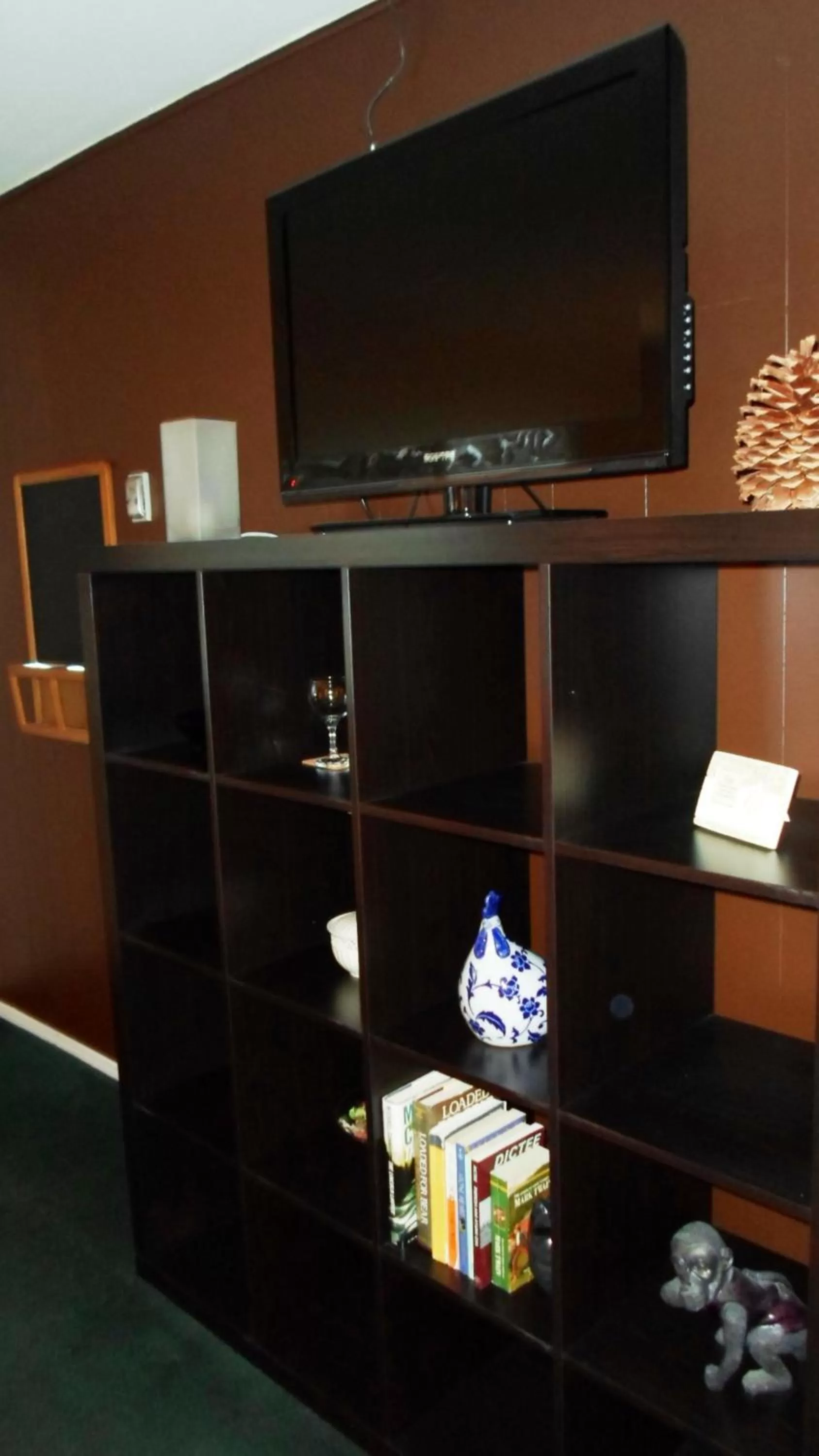 TV and multimedia in Paradice Motel