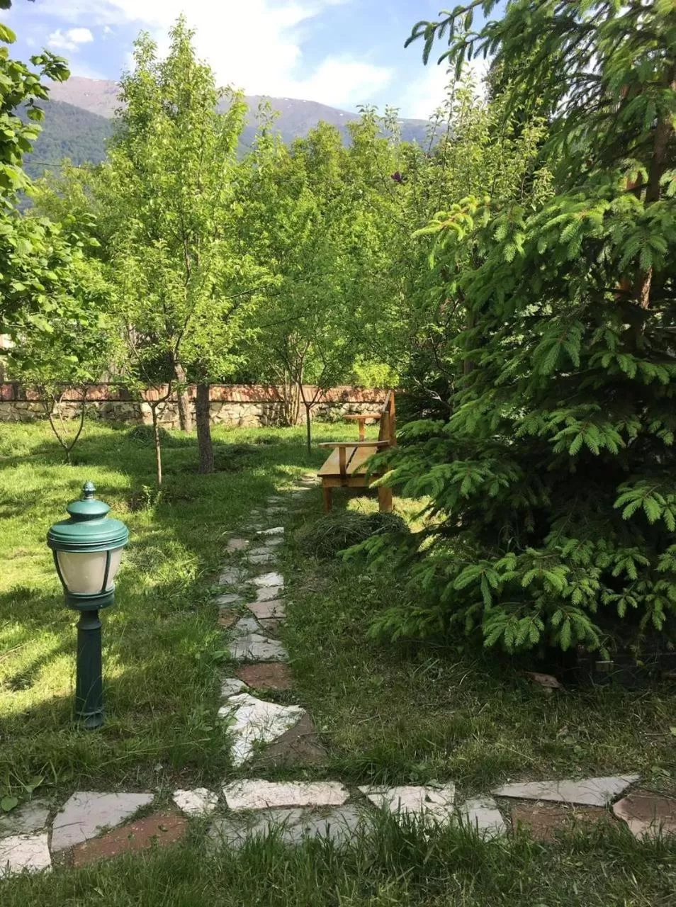 Garden in Dil Hill by Sam