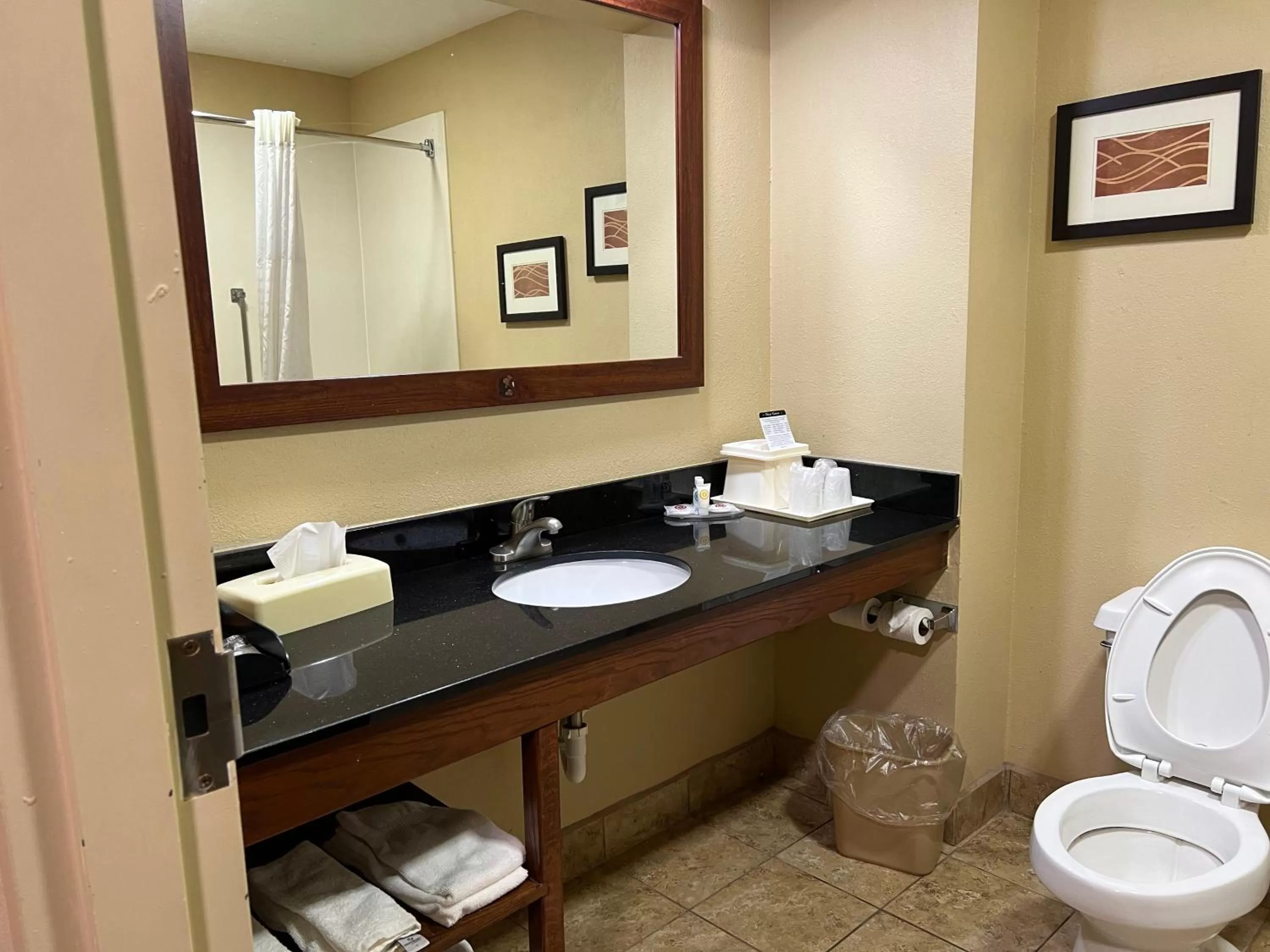 Toilet in Comfort Inn