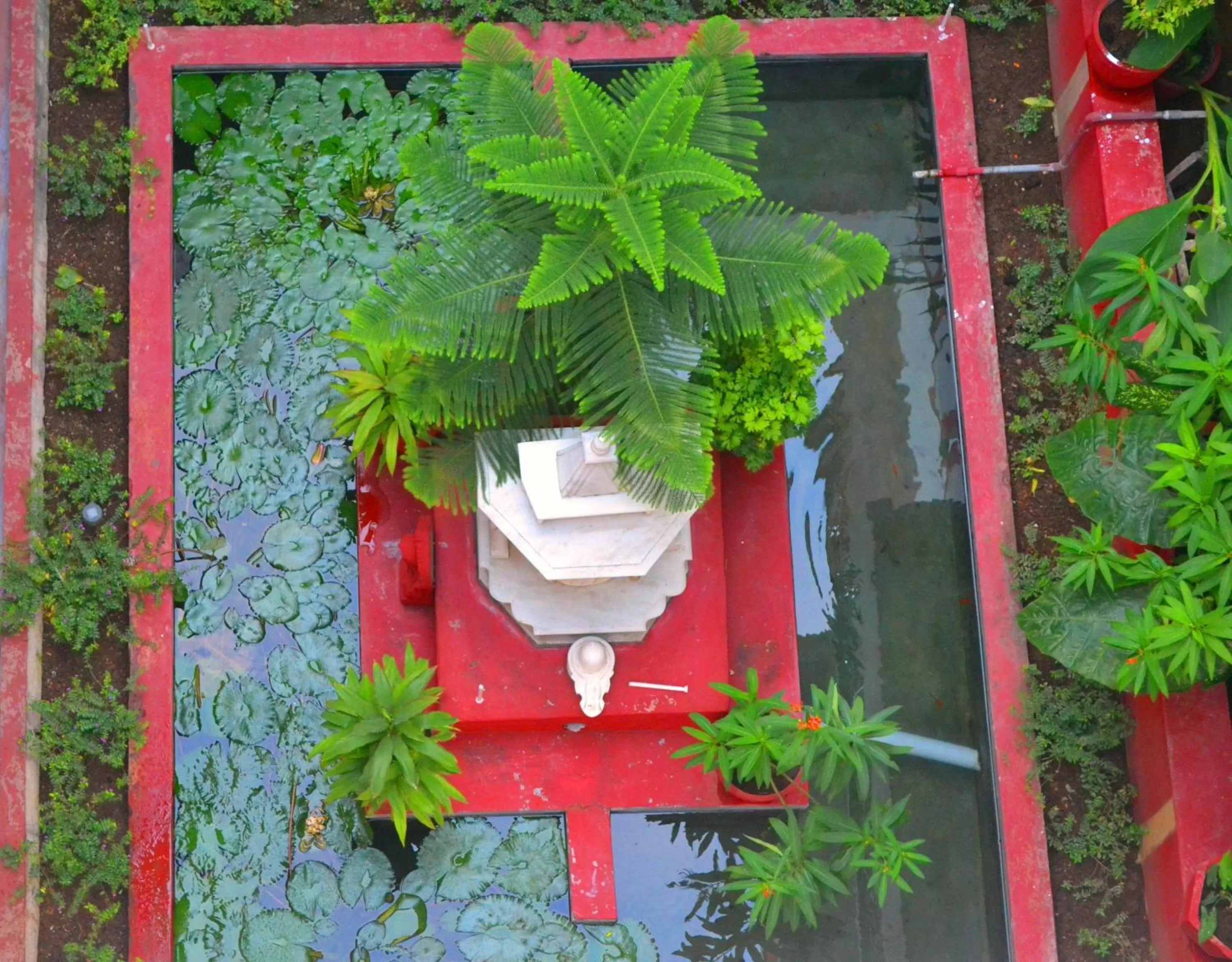 Decorative detail in Hotel Harmony