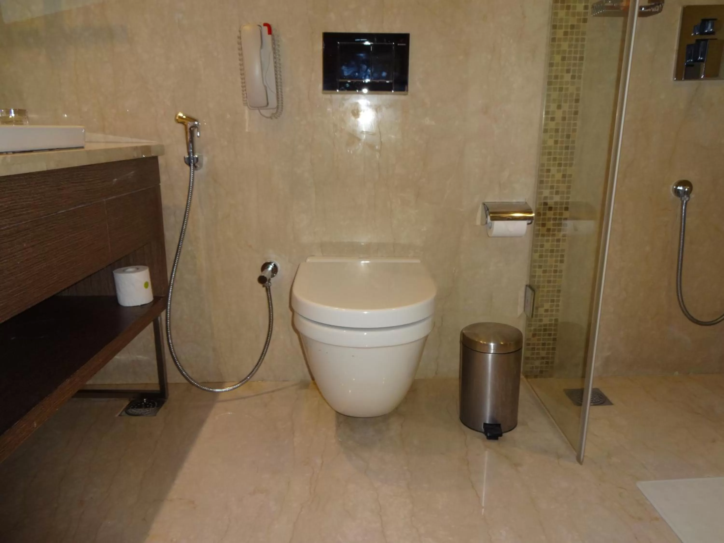 Toilet, Bathroom in The Raintree, Anna Salai