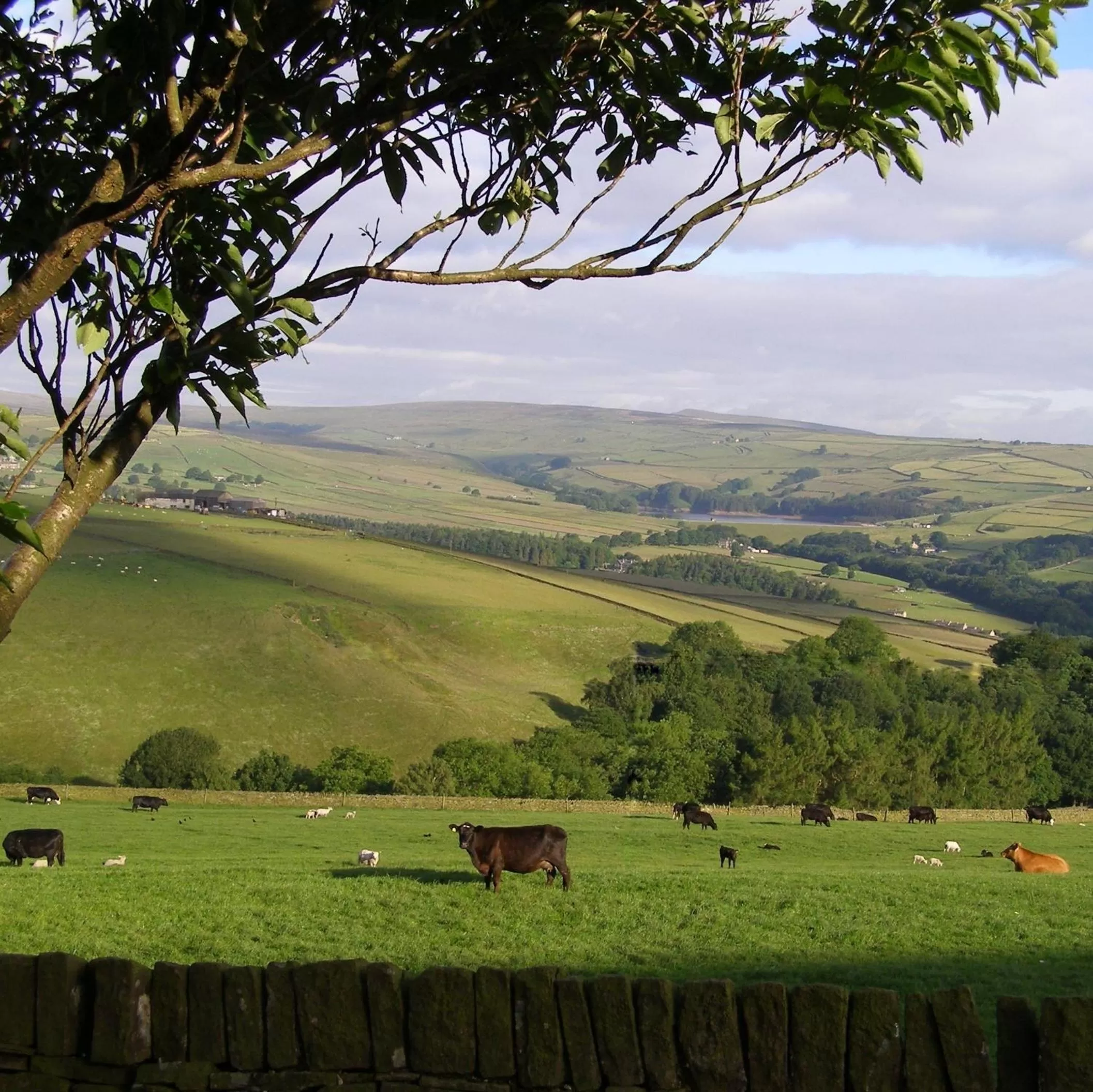 View (from property/room) in Coddy's Farm