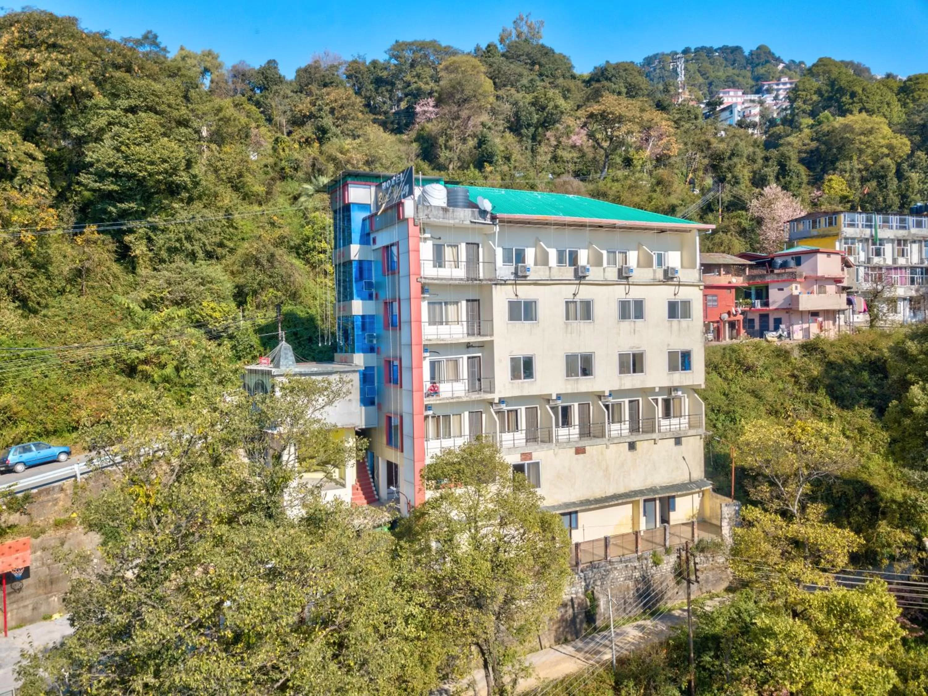 View (from property/room) in Hotel Bliss Valley - Hotel in Dharamshala