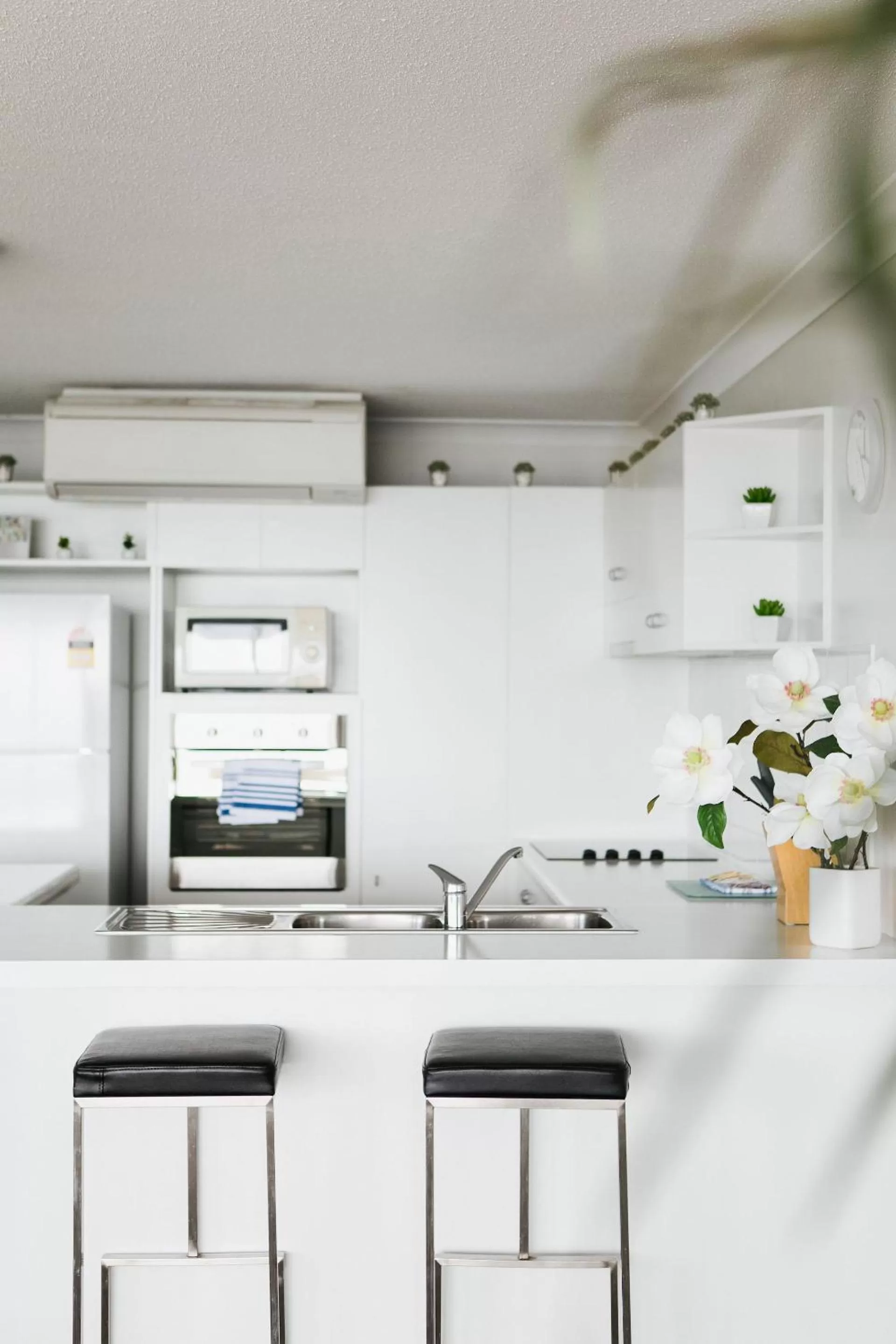kitchen in Osprey Apartments