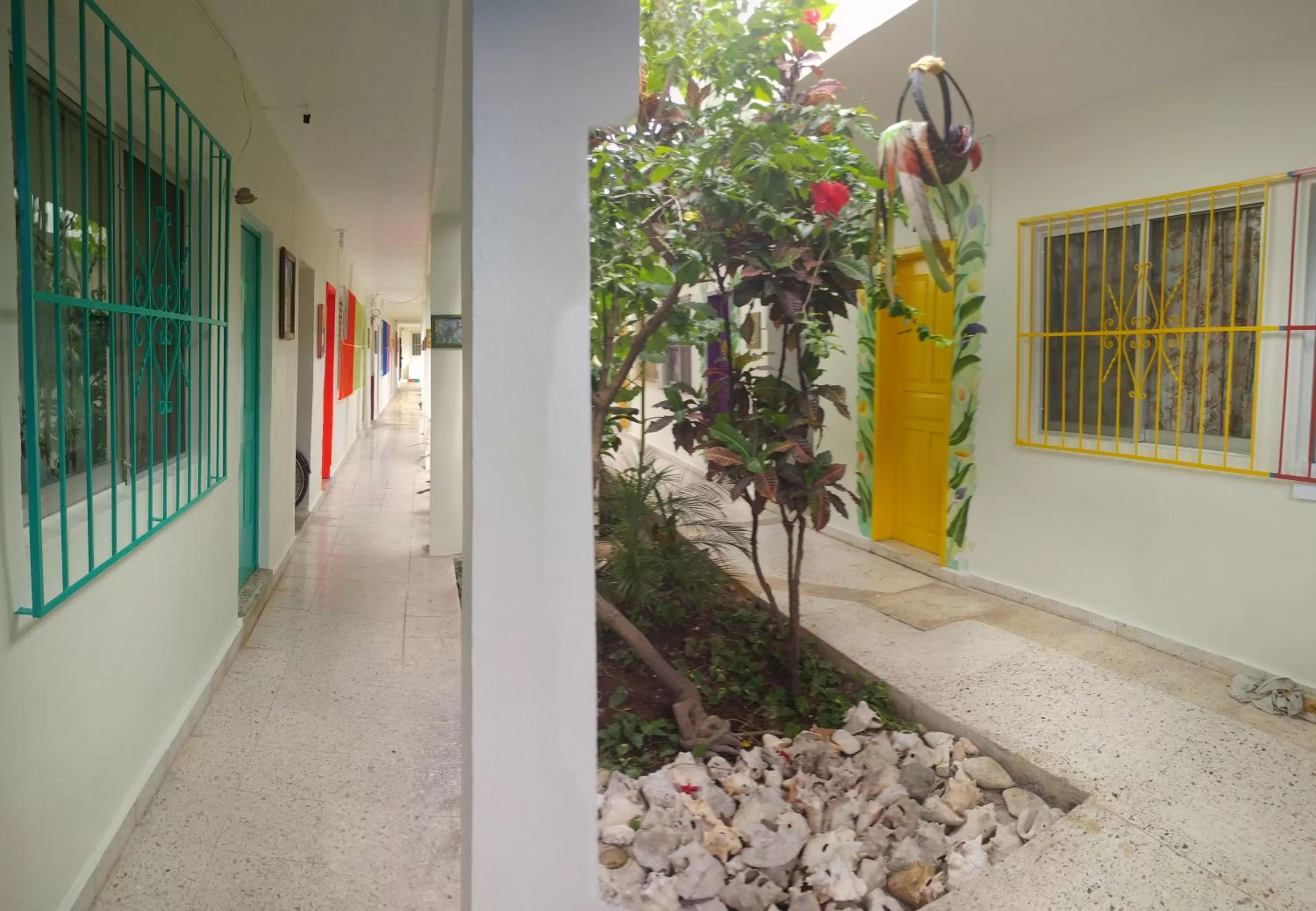 Garden in Hotel Posada Edem