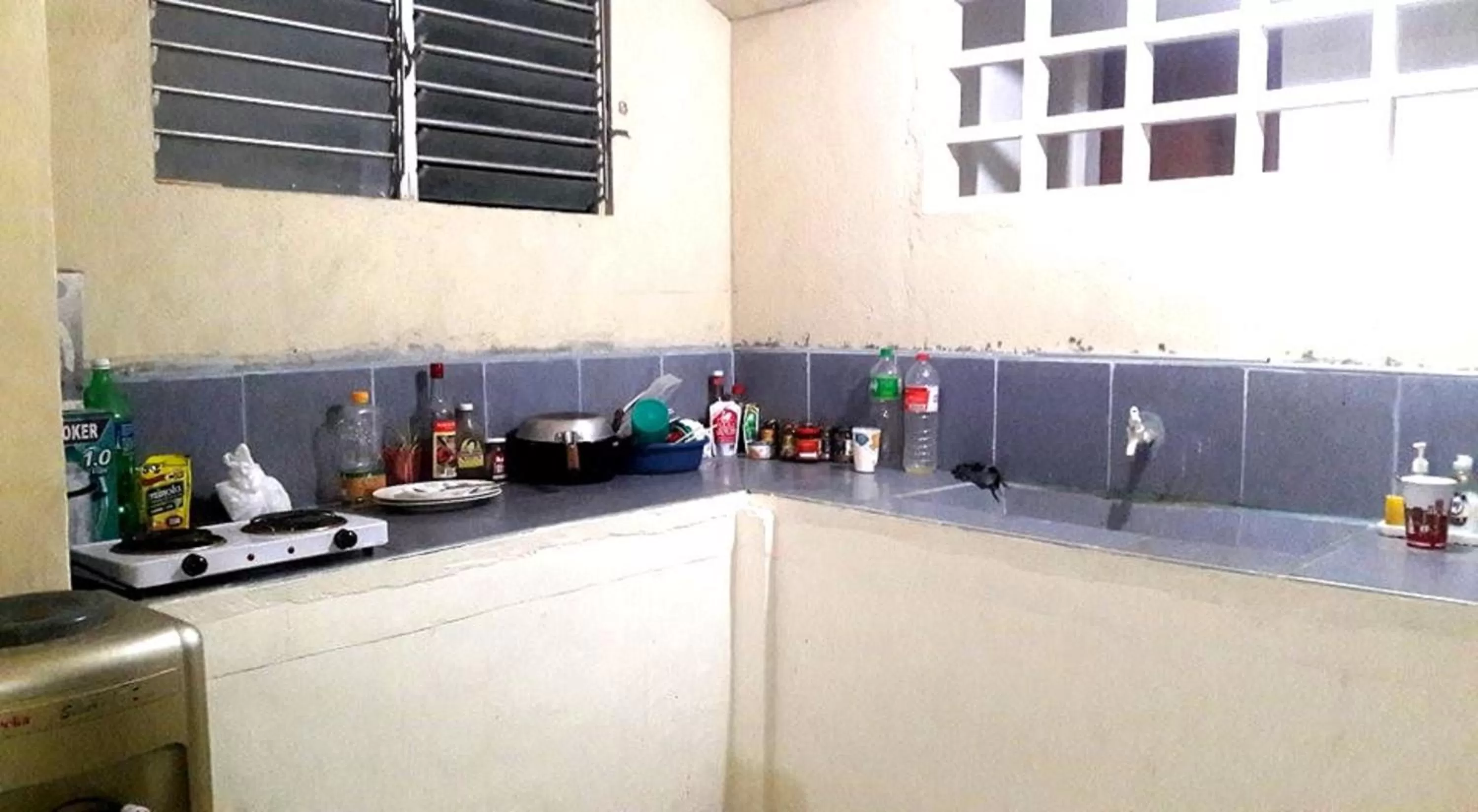 Kitchen or kitchenette in Gaea's Apartments