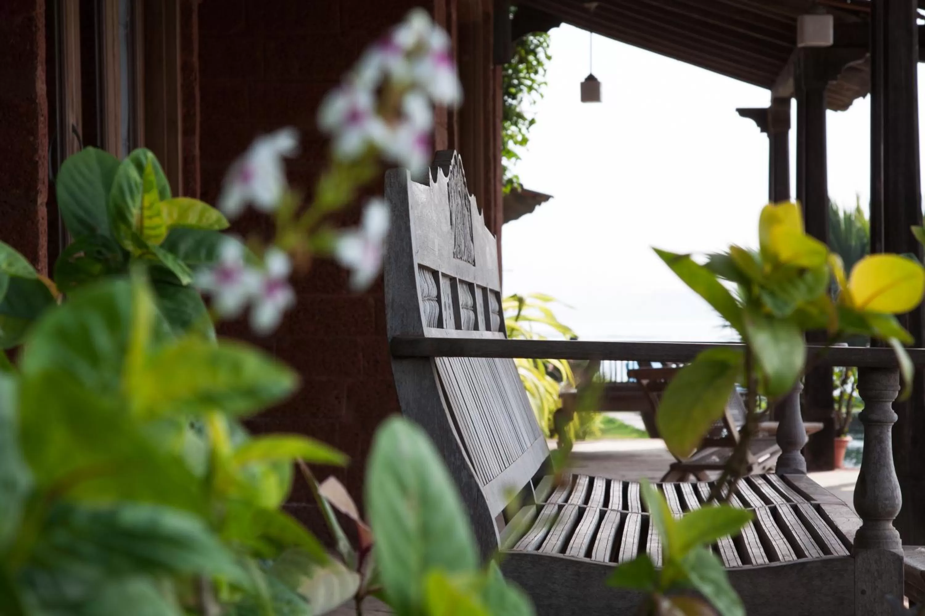 Balcony/Terrace in Ahilya By The Sea