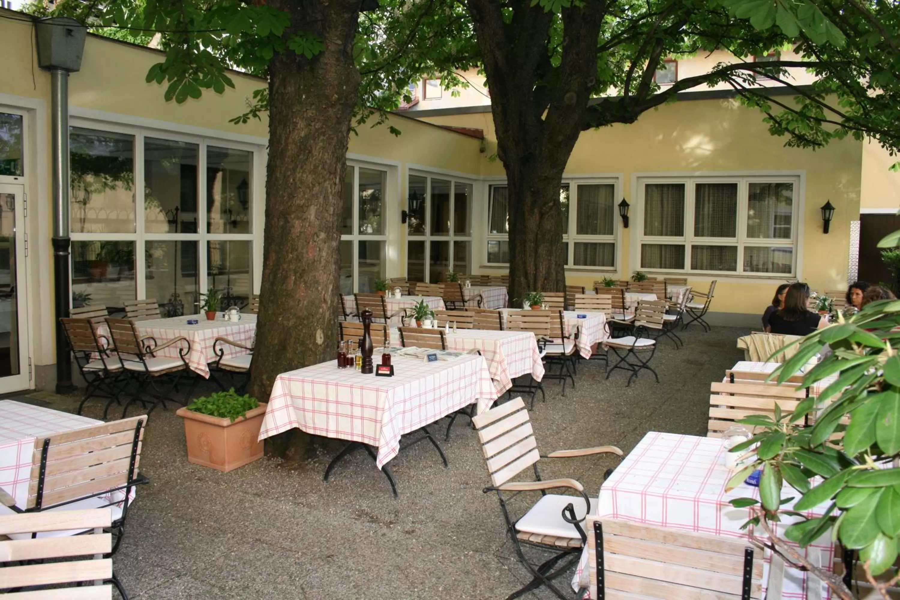 Restaurant/places to eat in Hotel Sailer