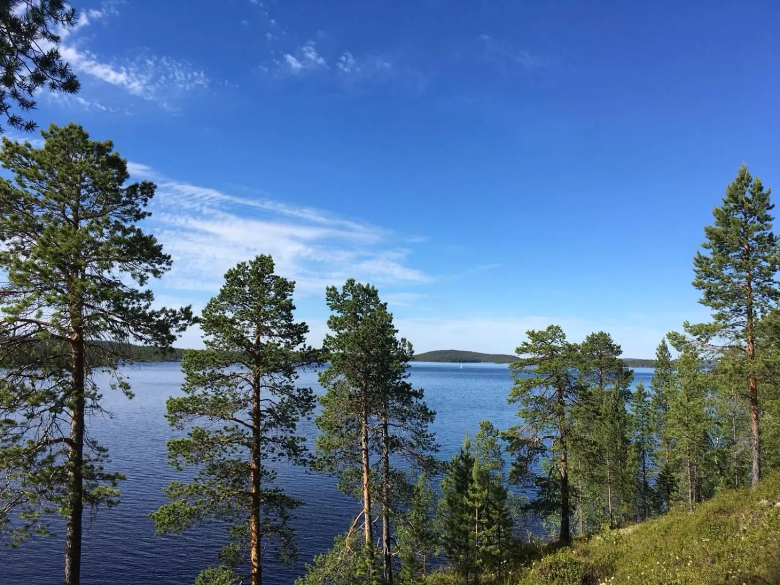 Neighbourhood in Wilderness Hotel Nangu & Igloos