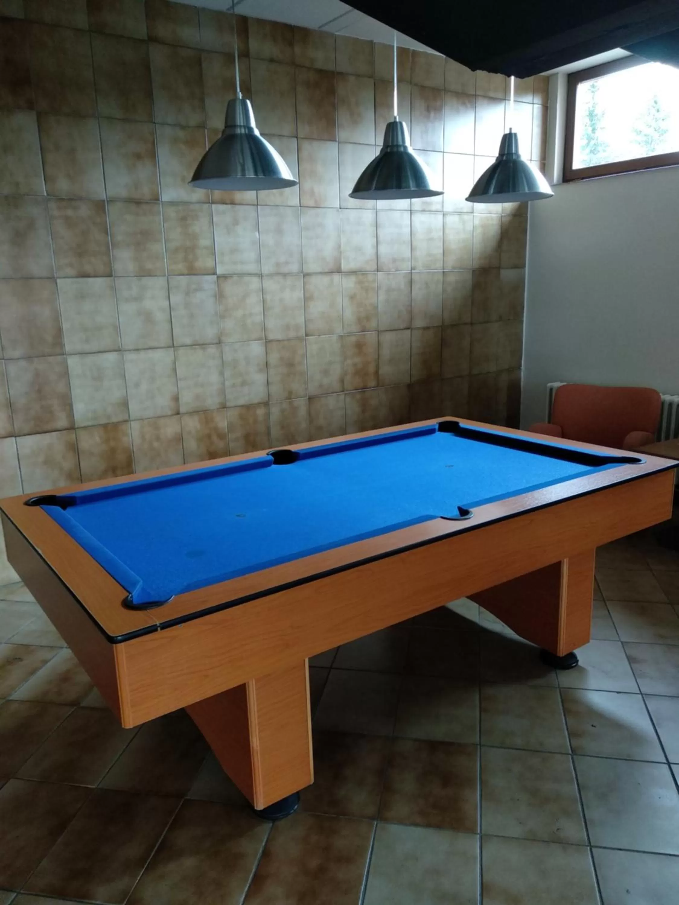 Billiard in Hotel SOREA TITRIS