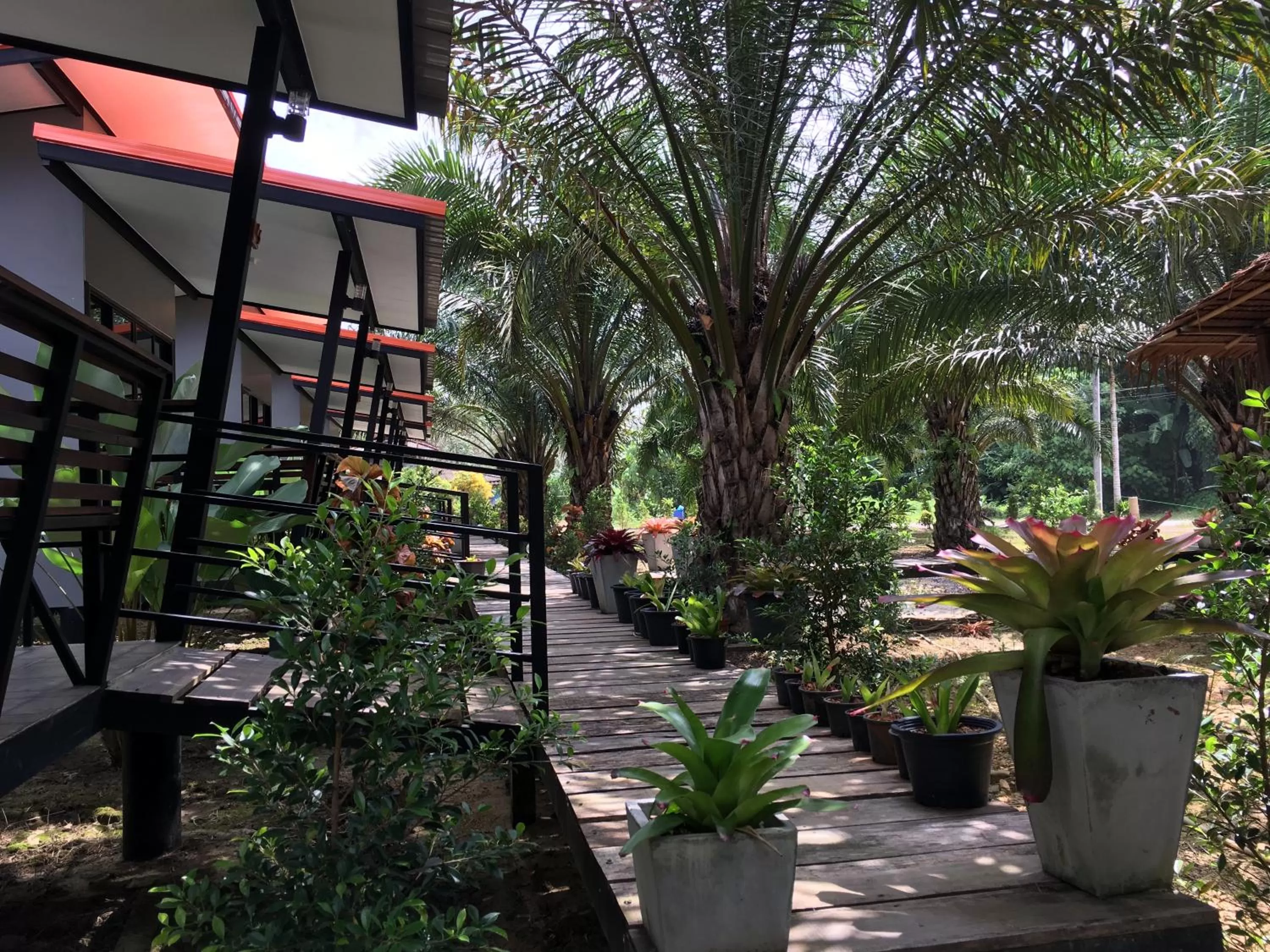 Property building in Khao Sok Residence Resort