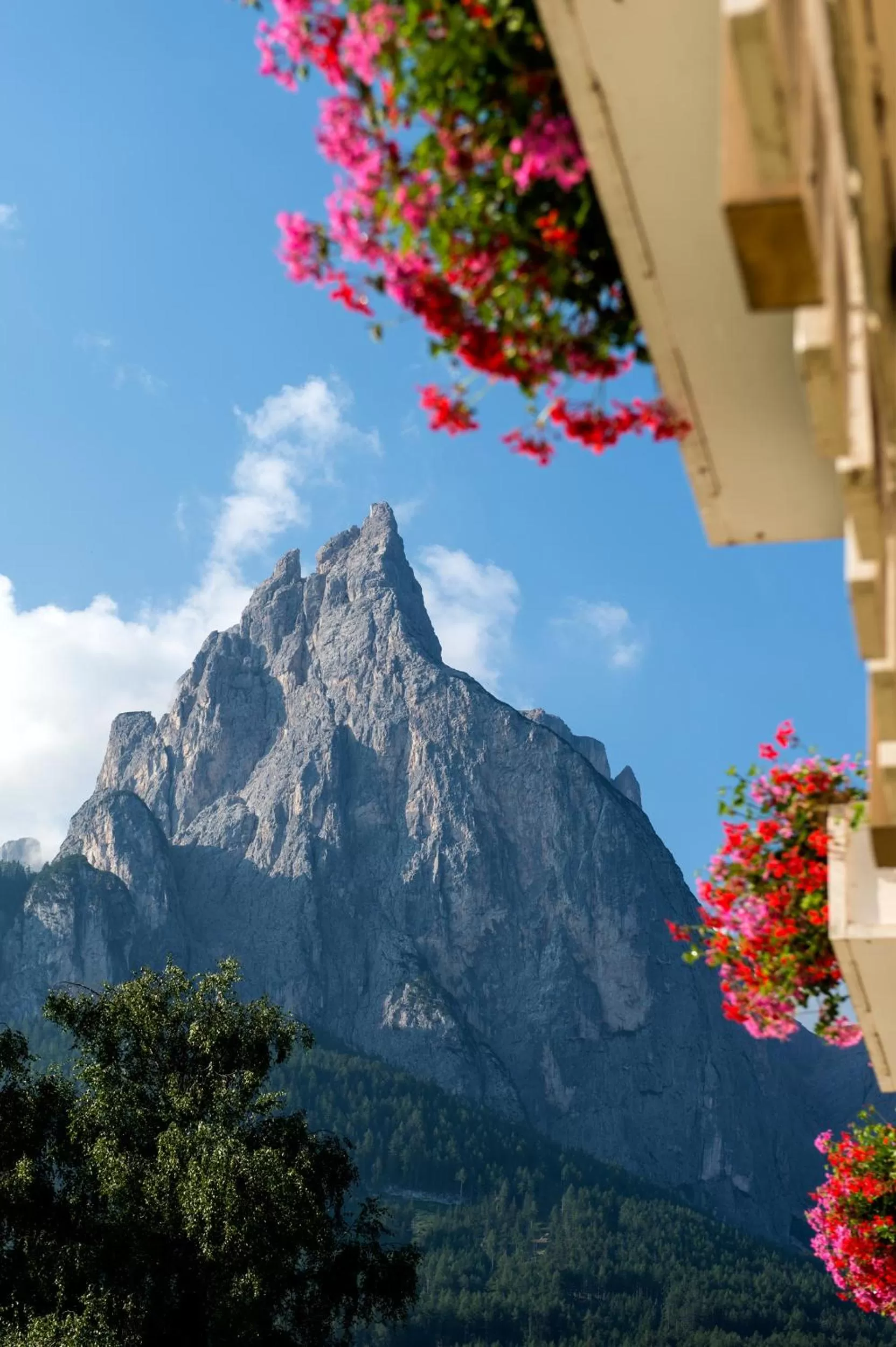 Day in Parc Hotel Florian