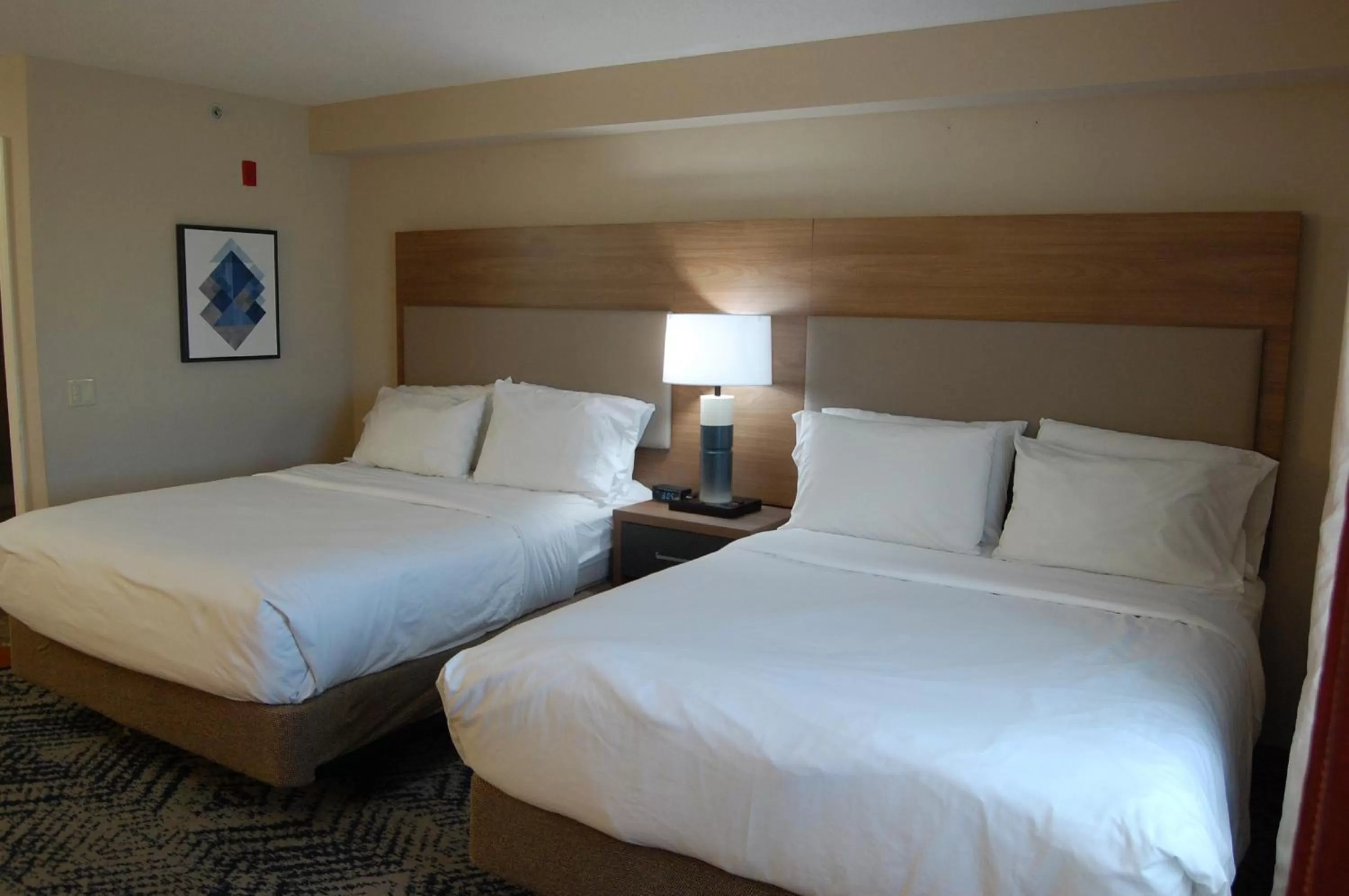 Photo of the whole room, Bed in Candlewood Suites Harrisburg I-81 Hershey Area by IHG
