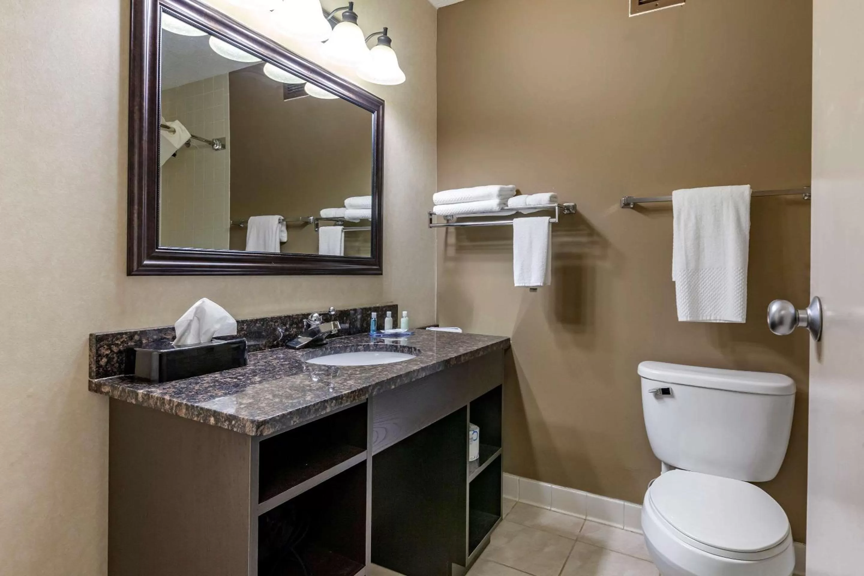 Bathroom in Quality Inn & Suites Escanaba North