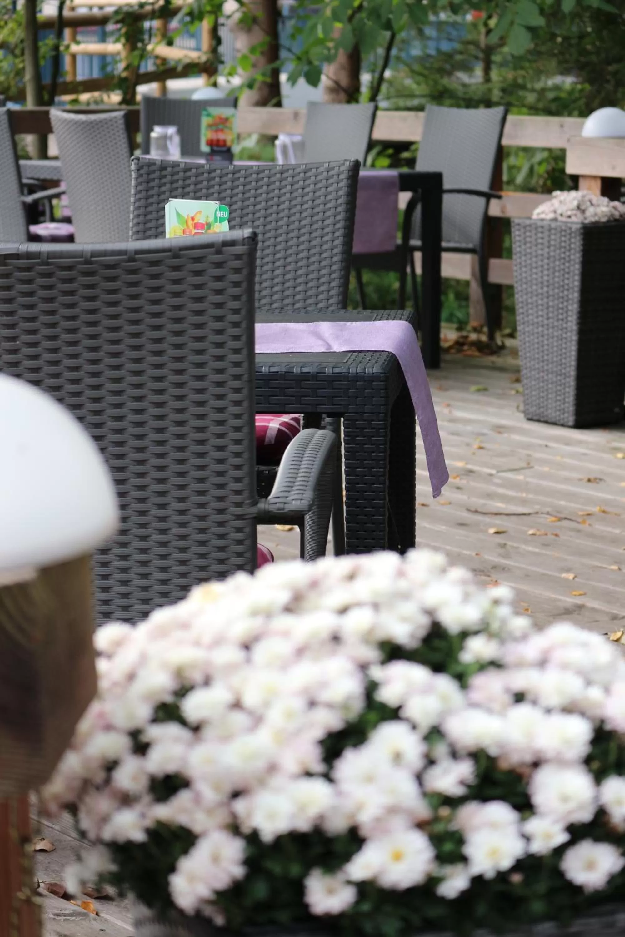 Balcony/Terrace in Schwarzwaldhotel Stollen