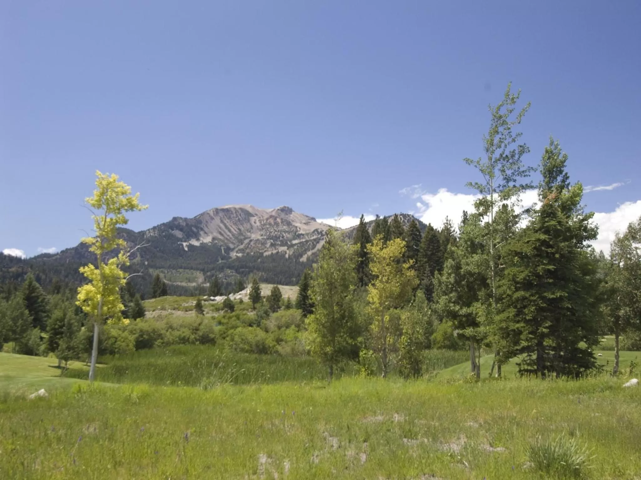 Mountain view in Snowcreek Resort Vacation Rentals