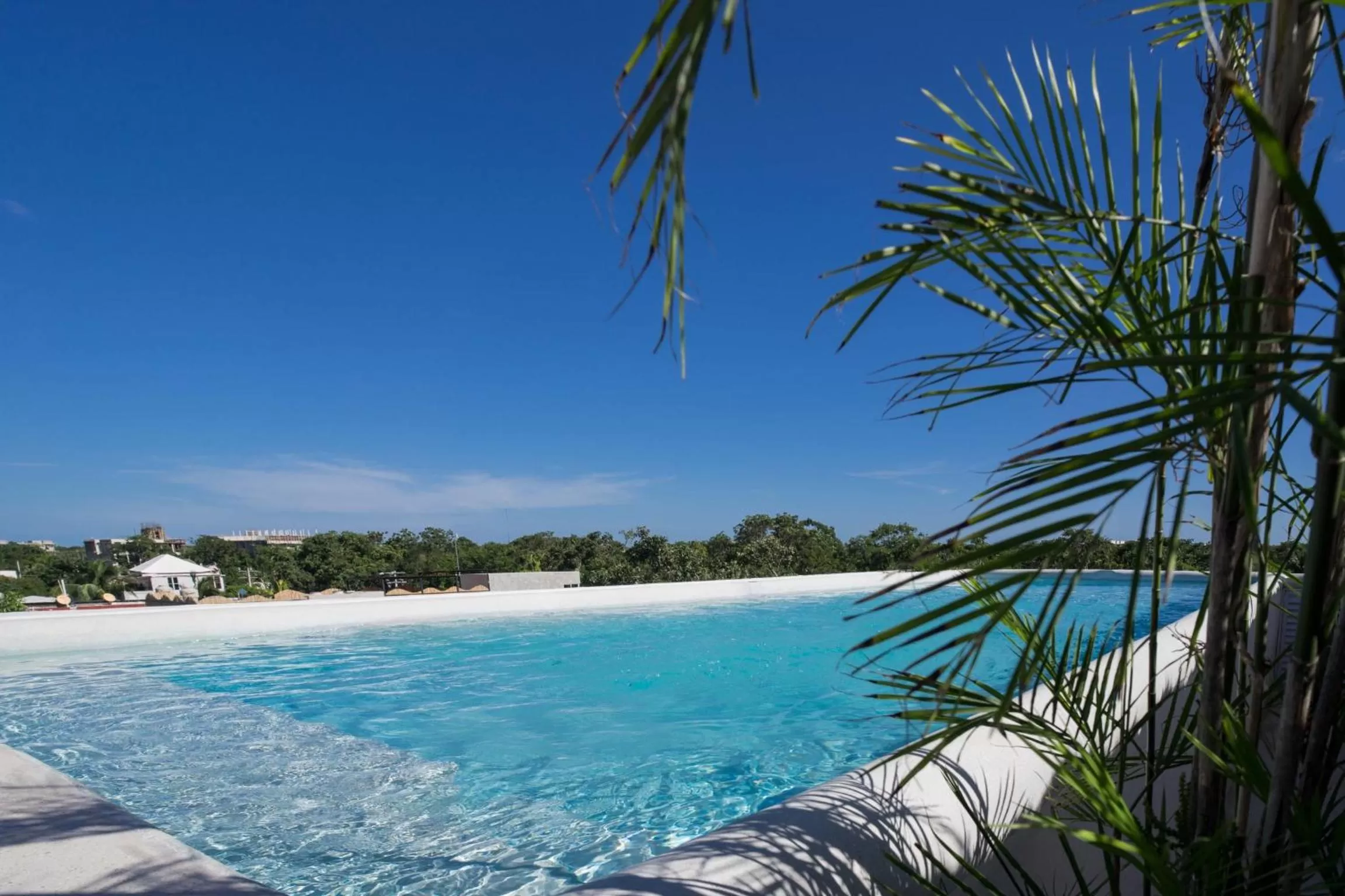 Pool view, Swimming Pool in Caliza Tulum Hotel