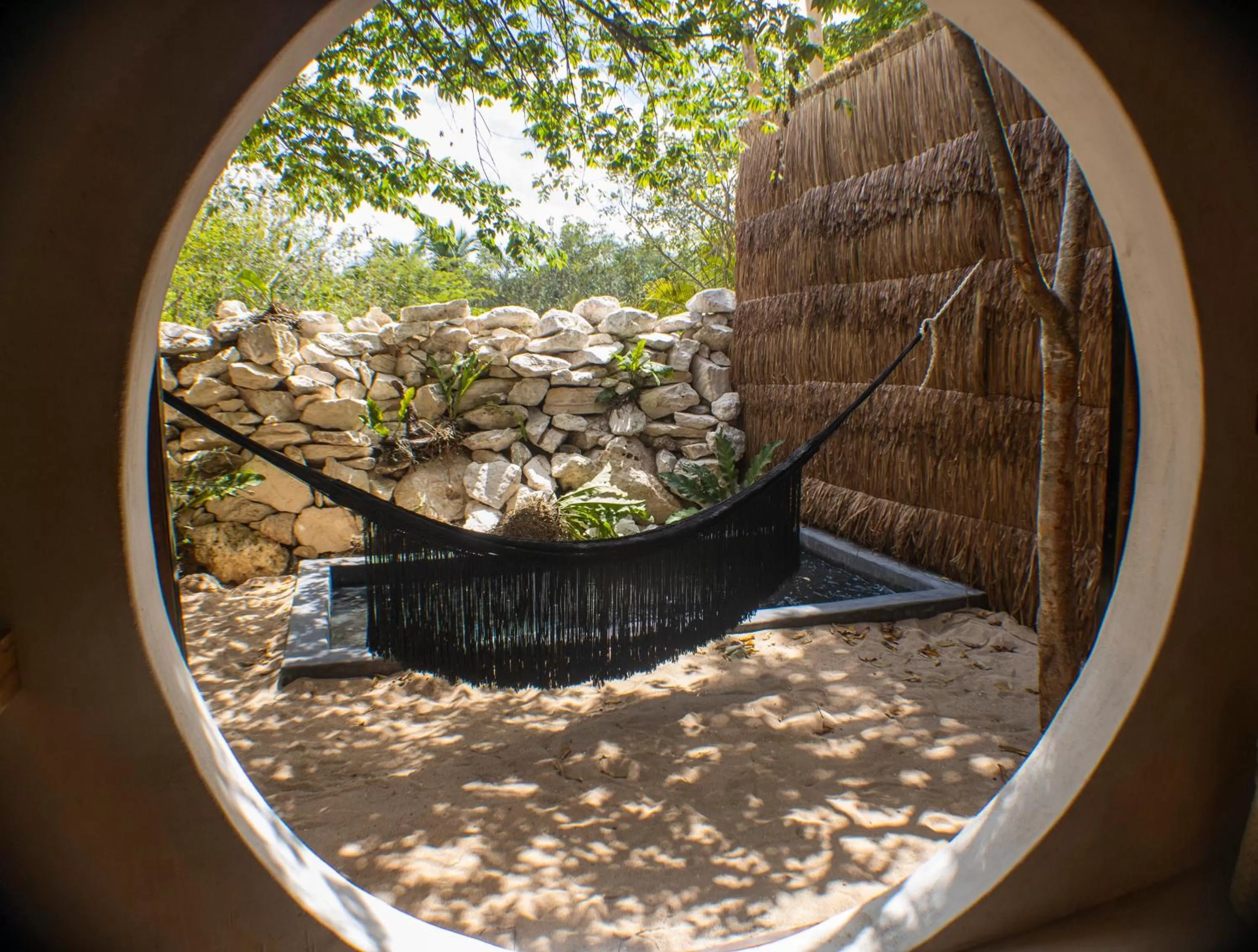 Garden view in Zenote Sanctuary