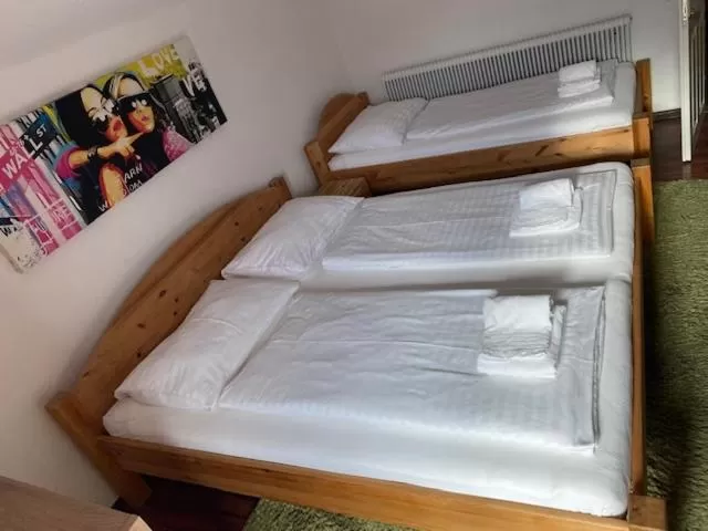 Photo of the whole room in Hotel Wildschütz Basic