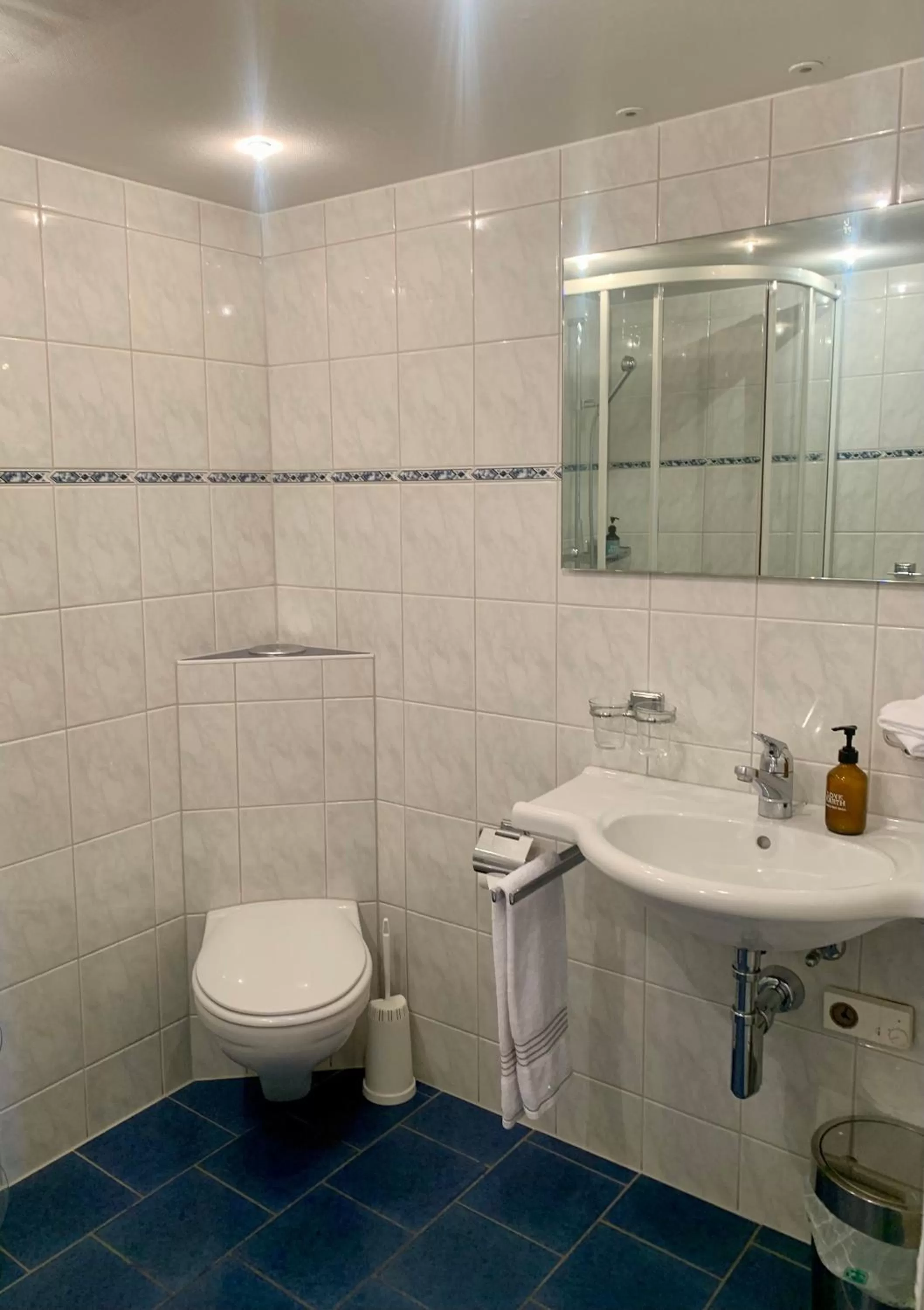 Toilet, Bathroom in Hotel Friedheim