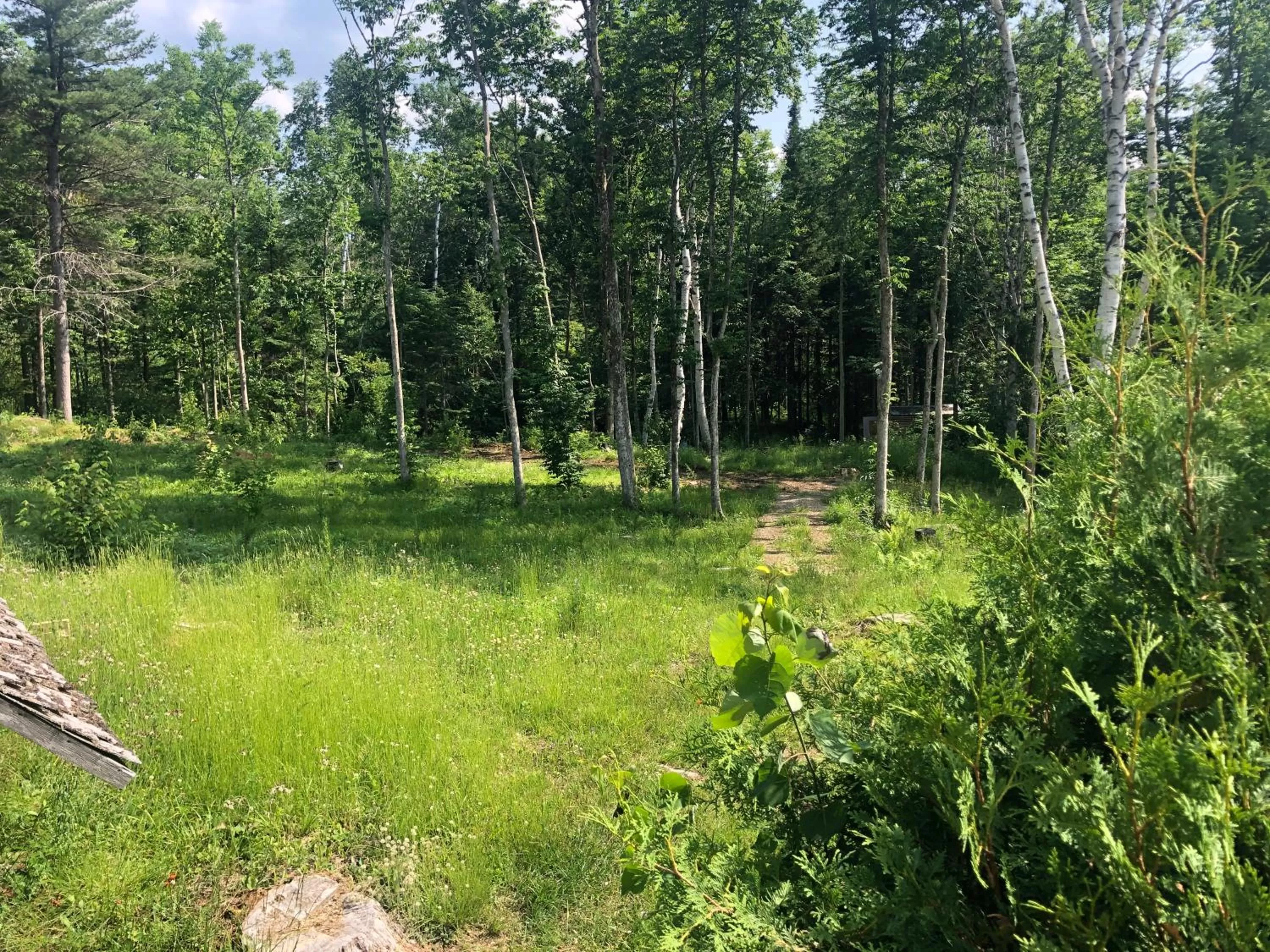 Day in Gîte de la Montagne Enchantée