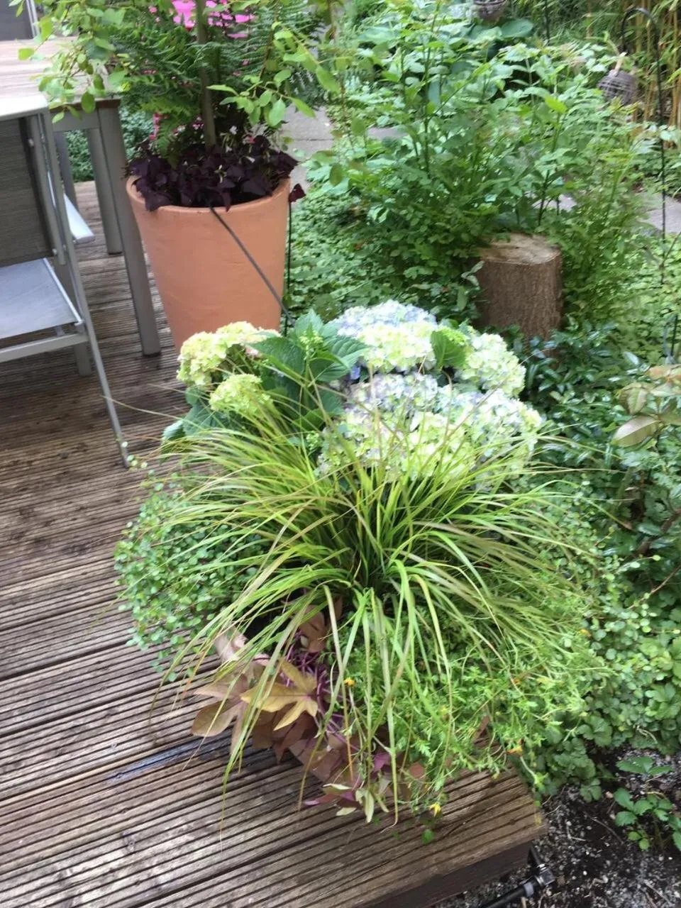 Garden in Hotel Elba am Kurfürstendamm - Design Chambers